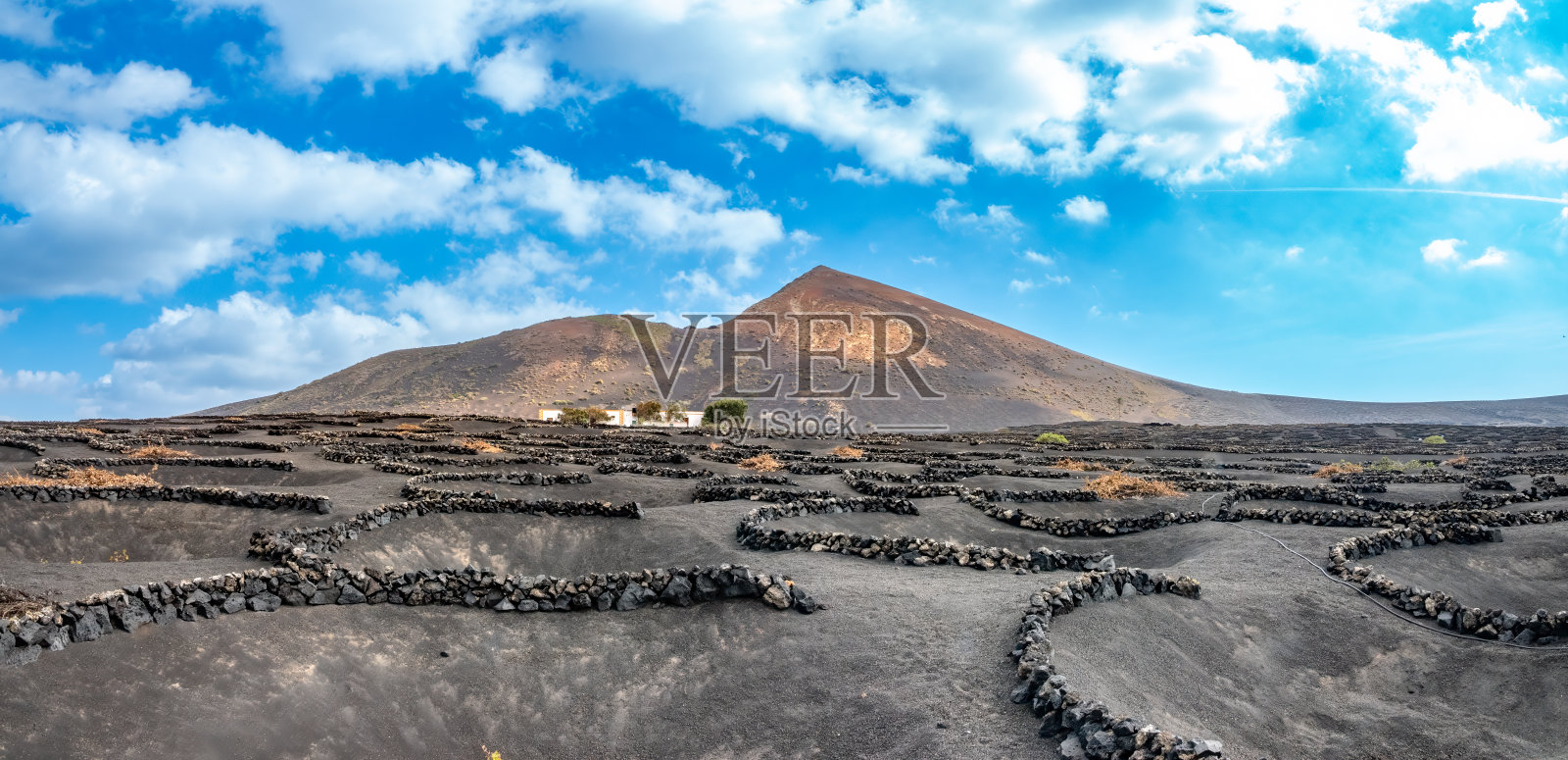 令人惊叹的火山灰和玄武岩结构由当地人建造，尽管极端干旱和多风的条件下生产高品质的葡萄酒照片摄影图片