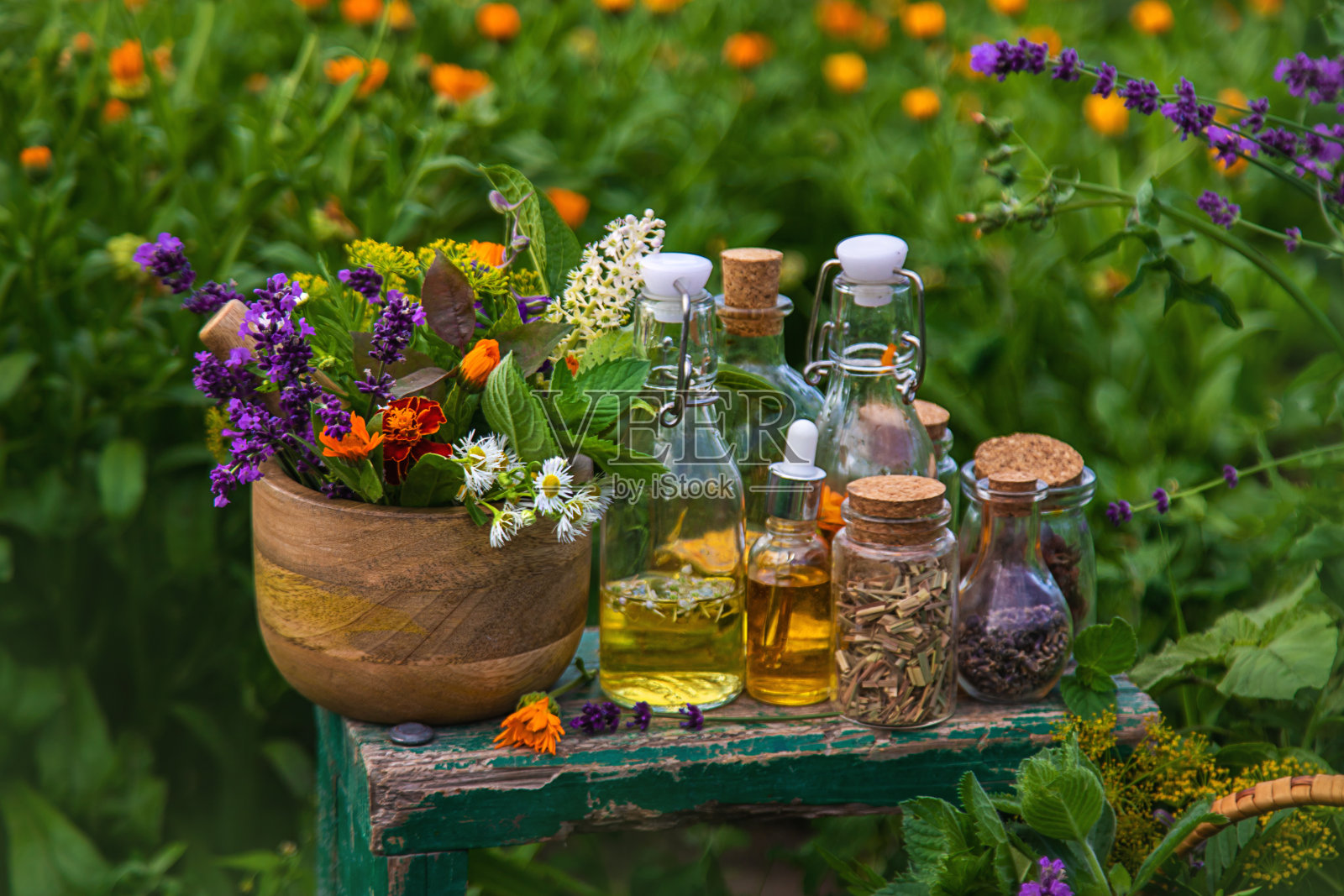植物和草药，自然，替代医学。有选择性的重点。照片摄影图片