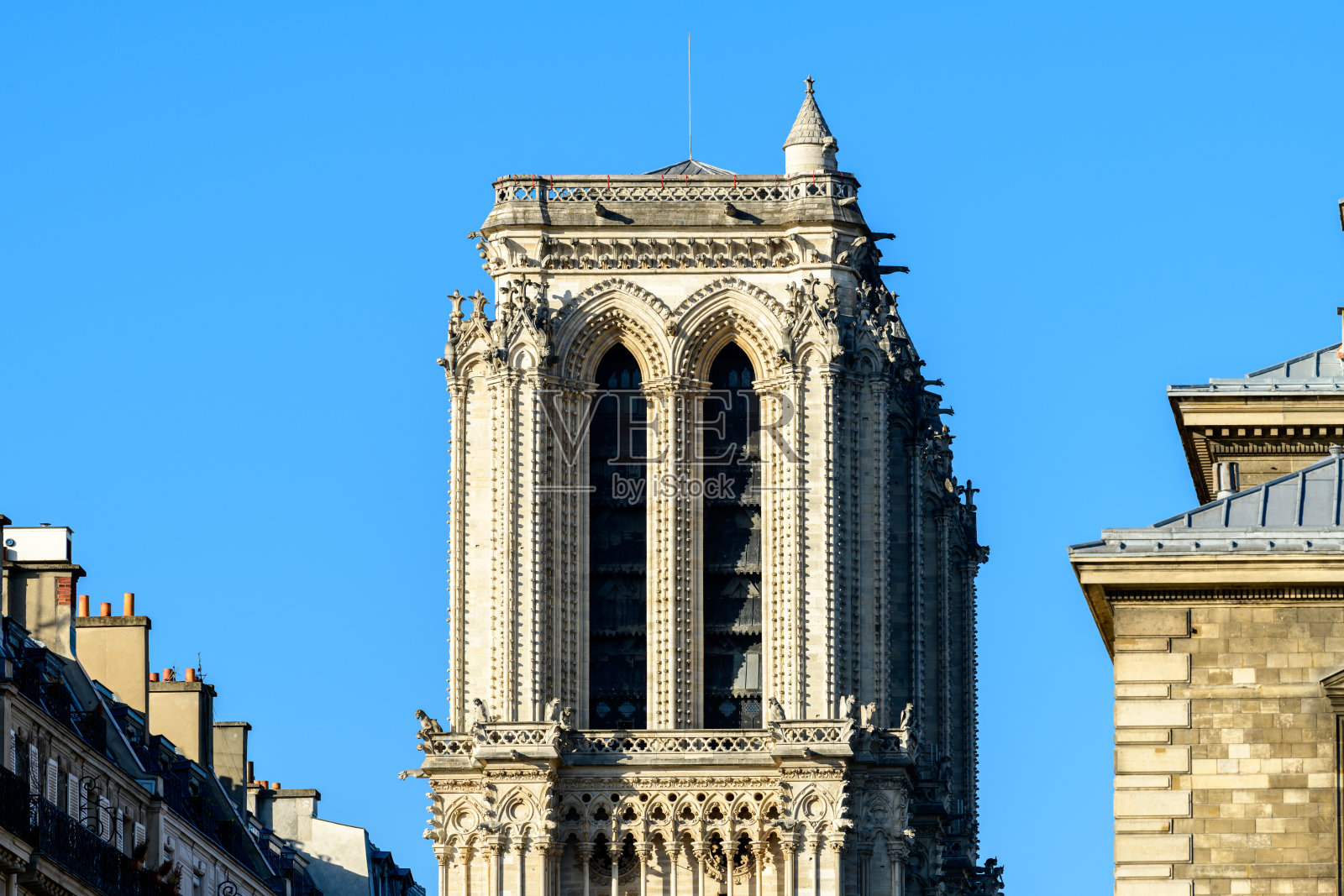 巴黎圣母院大教堂的塔楼，欧洲，法国，法国，巴黎，在一个阳光明媚的夏天。照片摄影图片