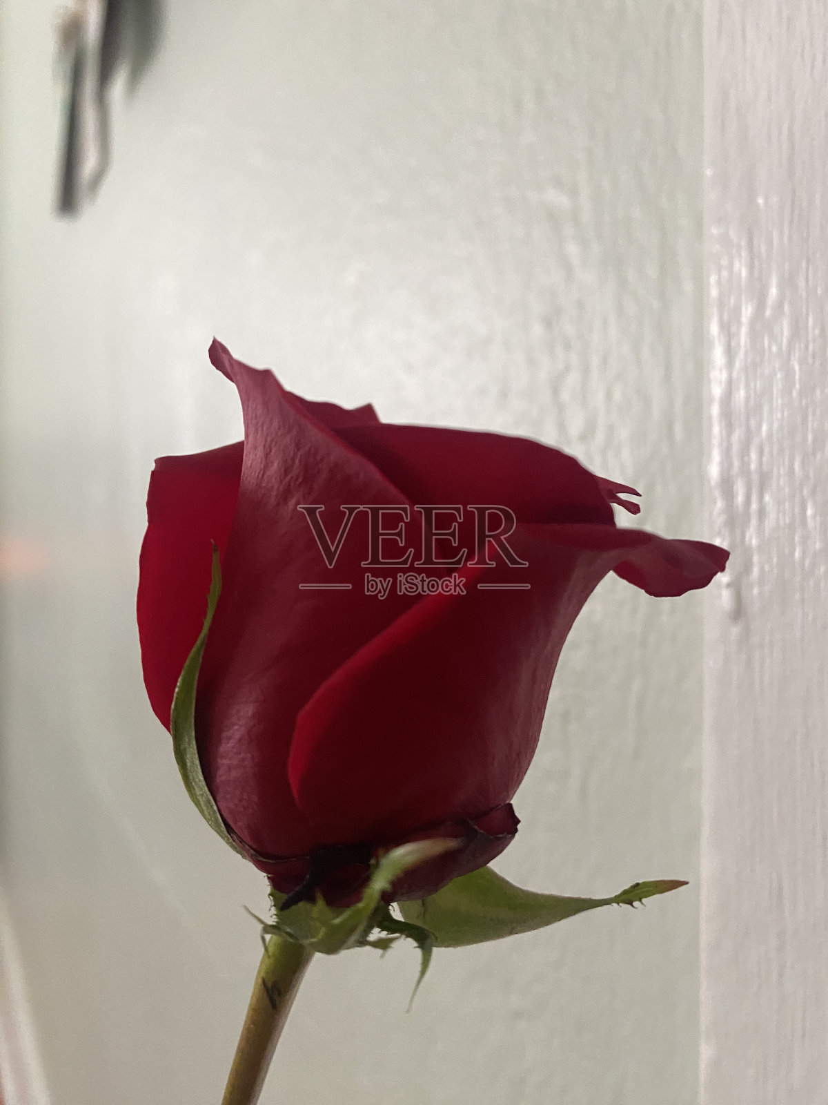 等待照片摄影图片