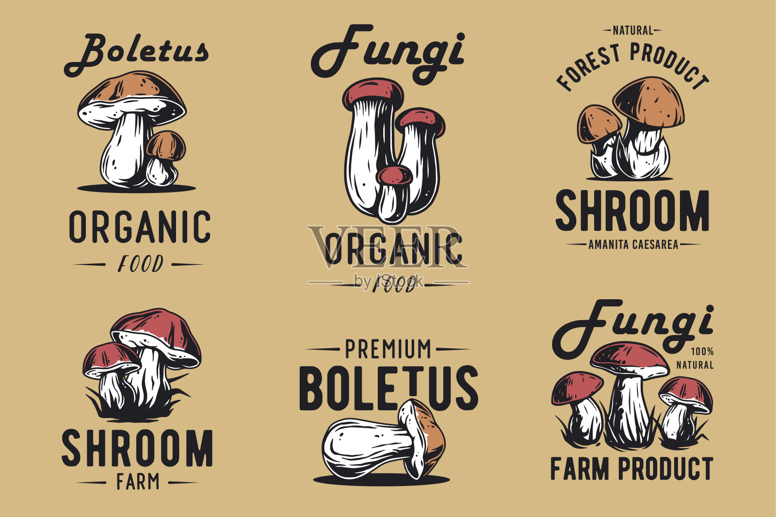 蘑菇肉毒杆菌套装的牛肝菌，国王肉毒杆菌。作为食物的素食真菌。天然菌类健康营养采摘插画图片素材