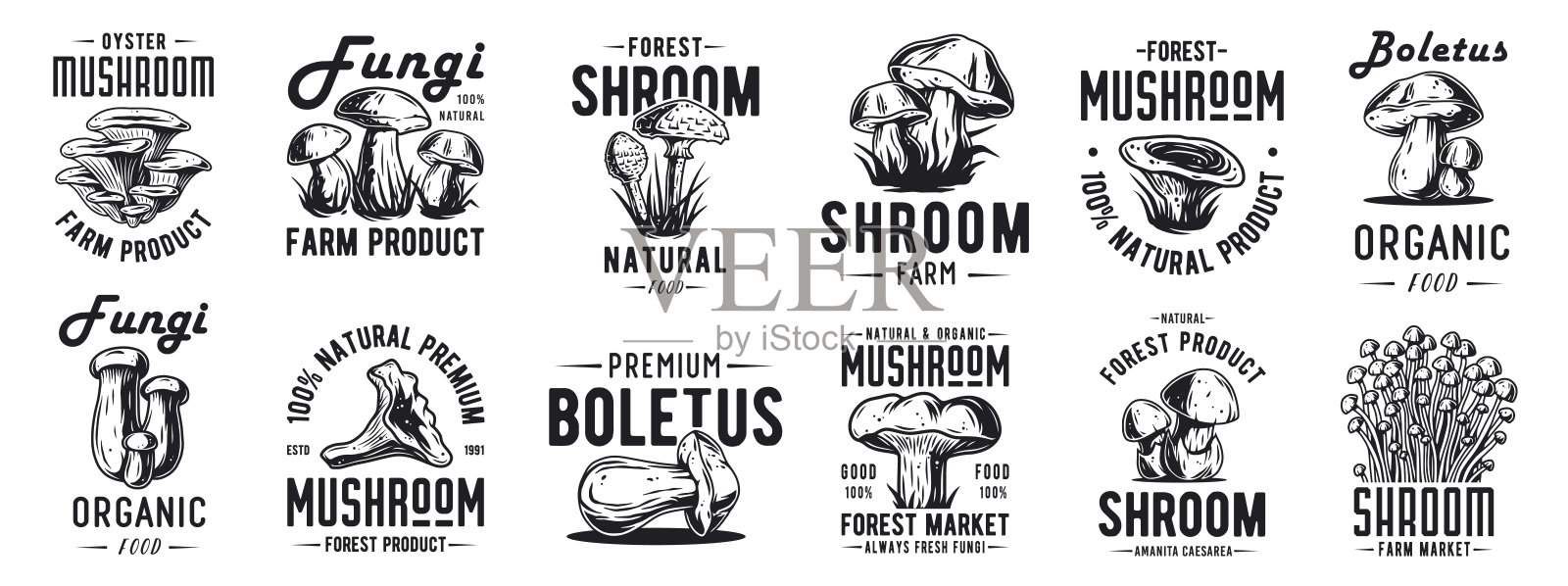 森林蘑菇肉毒杆菌套的牛肝菌，国王肉毒杆菌。作为食物的素食真菌。天然菌类为健康营养，蘑菇采摘插画图片素材