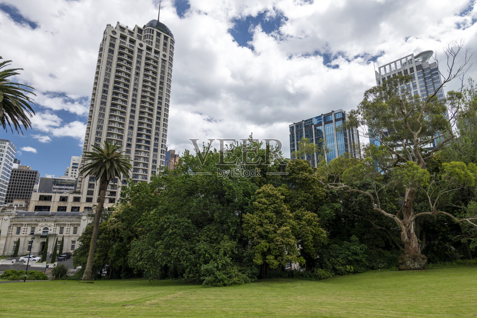 新西兰奥克兰市中心照片摄影图片