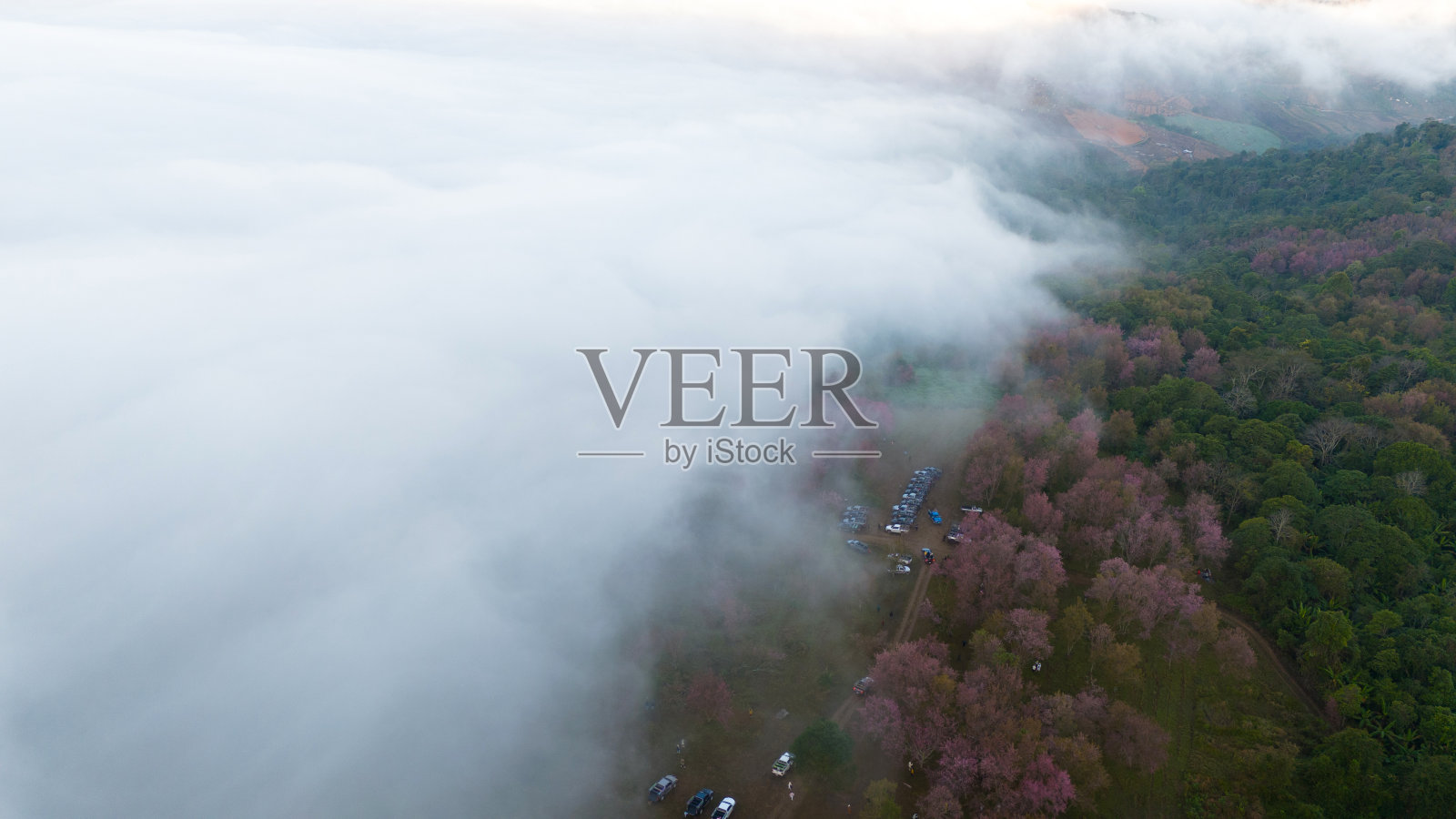 空中无人机拍摄山谷中的薄雾与日落，以及沿海城镇、树木和建筑物的清晨景色照片摄影图片