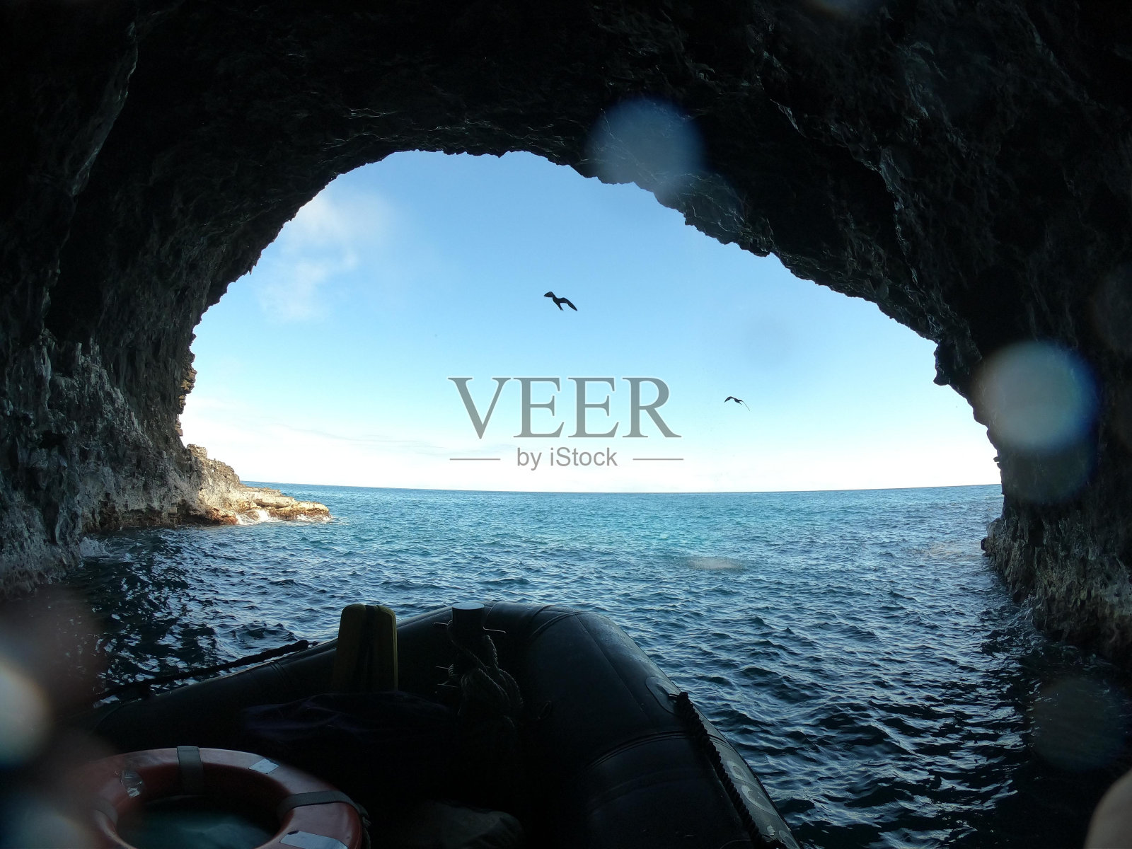 水天鸟轻黑蔚蓝照片摄影图片