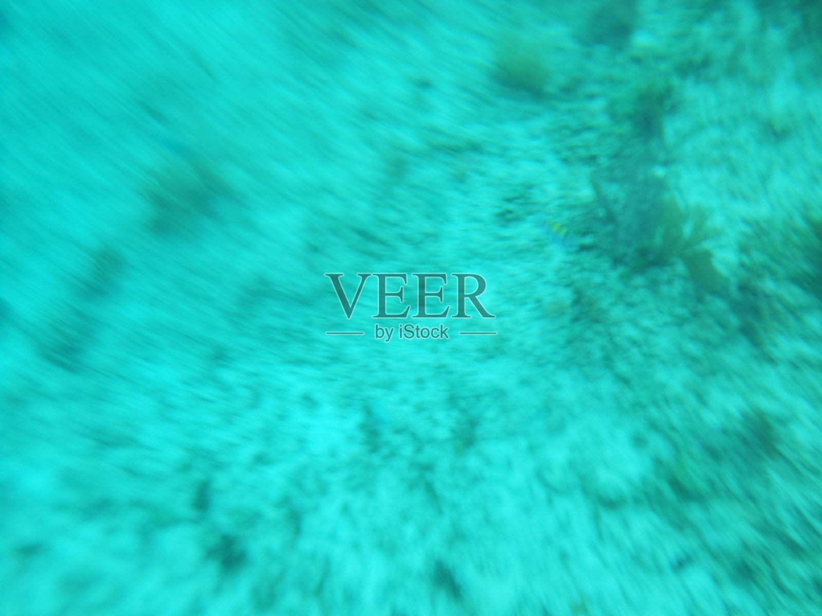 水绿色流体水下植物海洋生物学照片摄影图片