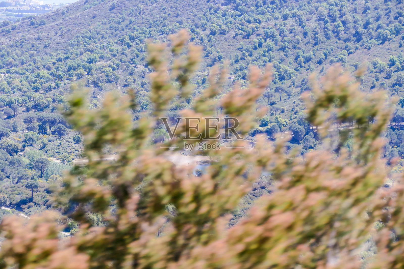 农村耕地景观照片摄影图片