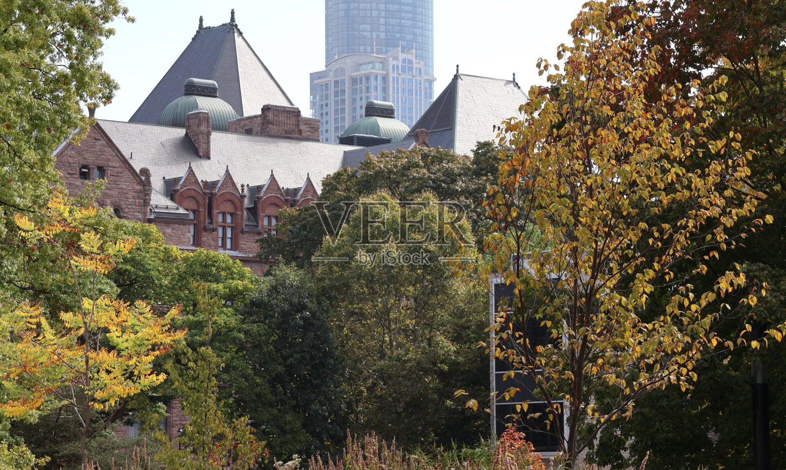 多伦多的秋天照片摄影图片