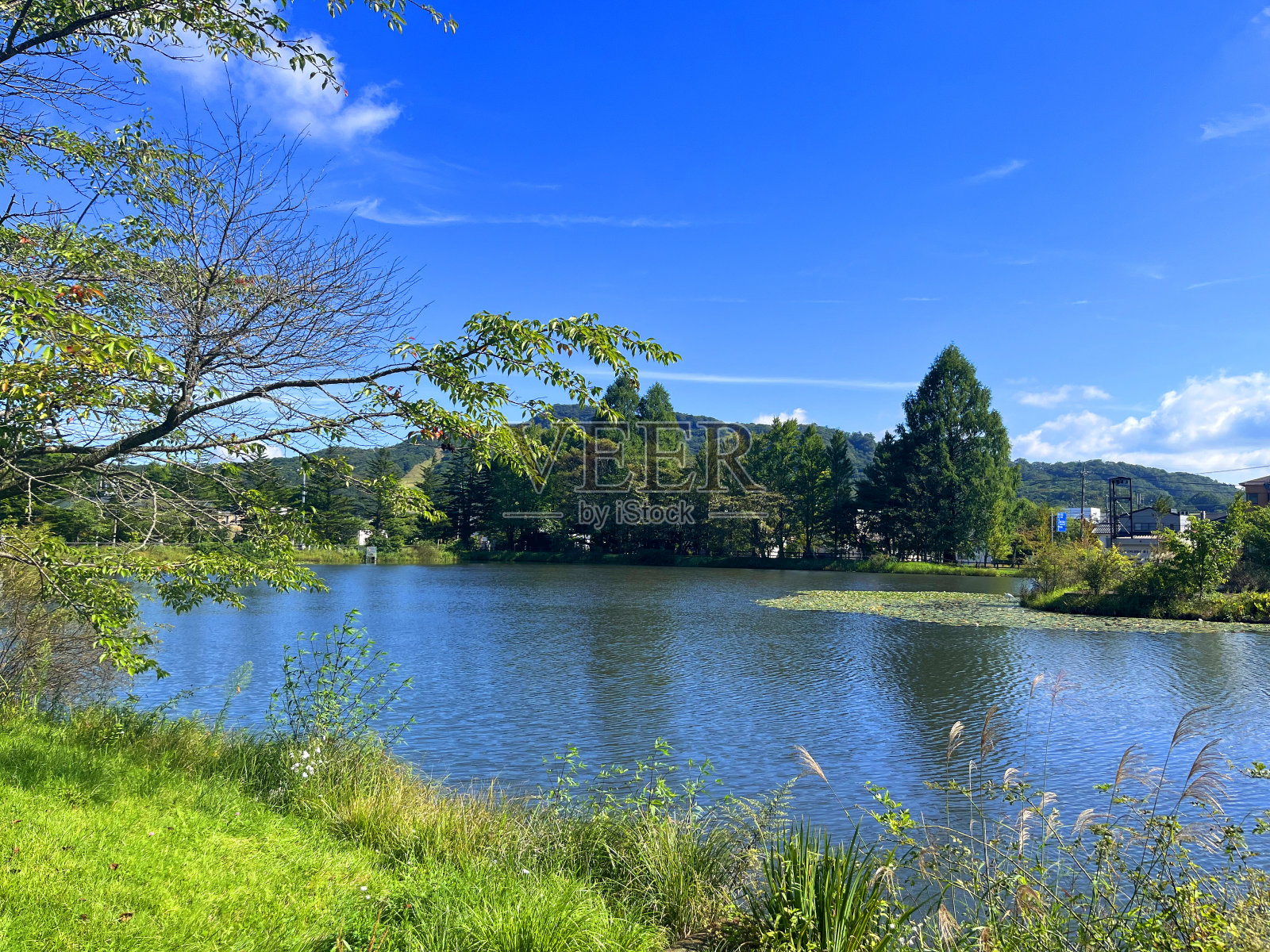 湖和蓝天的景观照片摄影图片