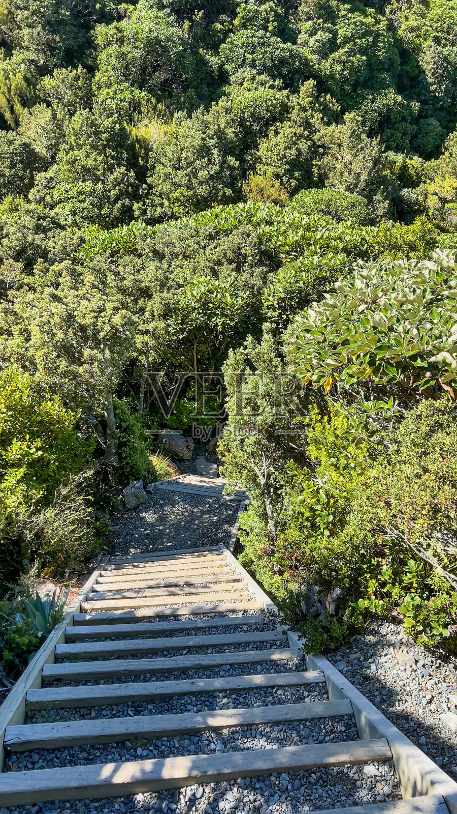 库克山国家公园西利塔恩斯步道上的3300级台阶中的一些照片摄影图片