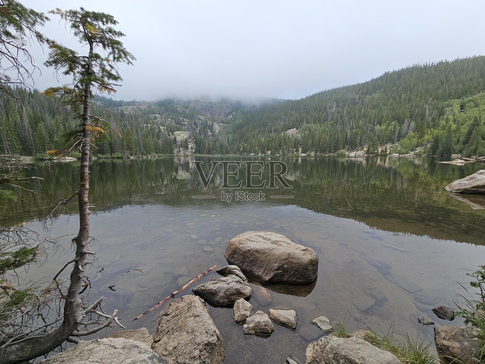 熊湖步道头熊湖步道水天空植物照片摄影图片