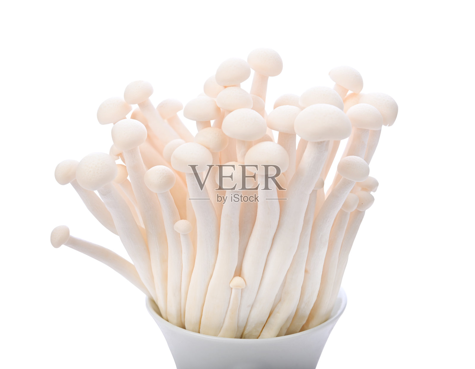 白色背景的白蟹菇或Bunapi Shimeji菇。照片摄影图片