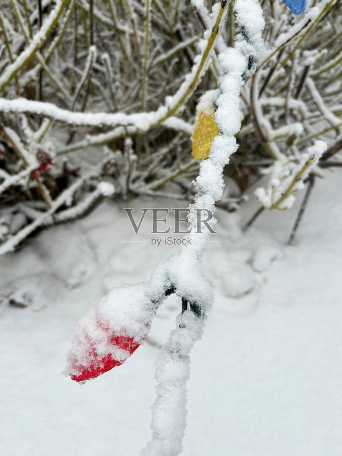 雪中的圣诞彩灯照片摄影图片