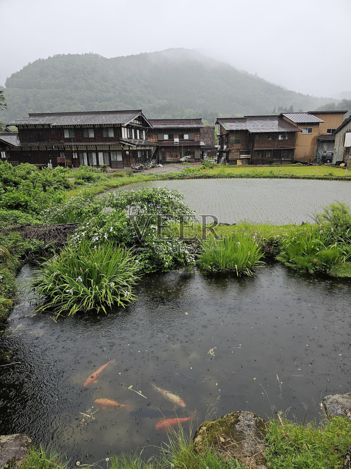 水植物水资源自然景观山地土地照片摄影图片