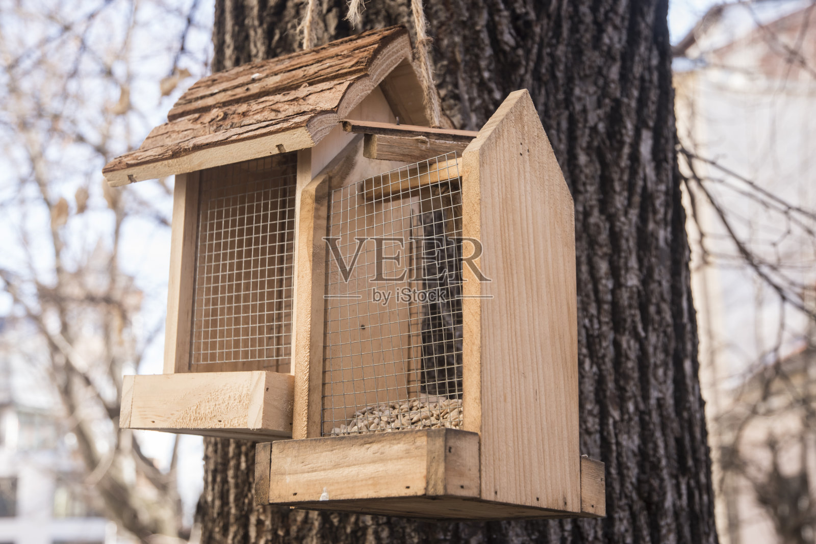 喂鸟人特写照片摄影图片