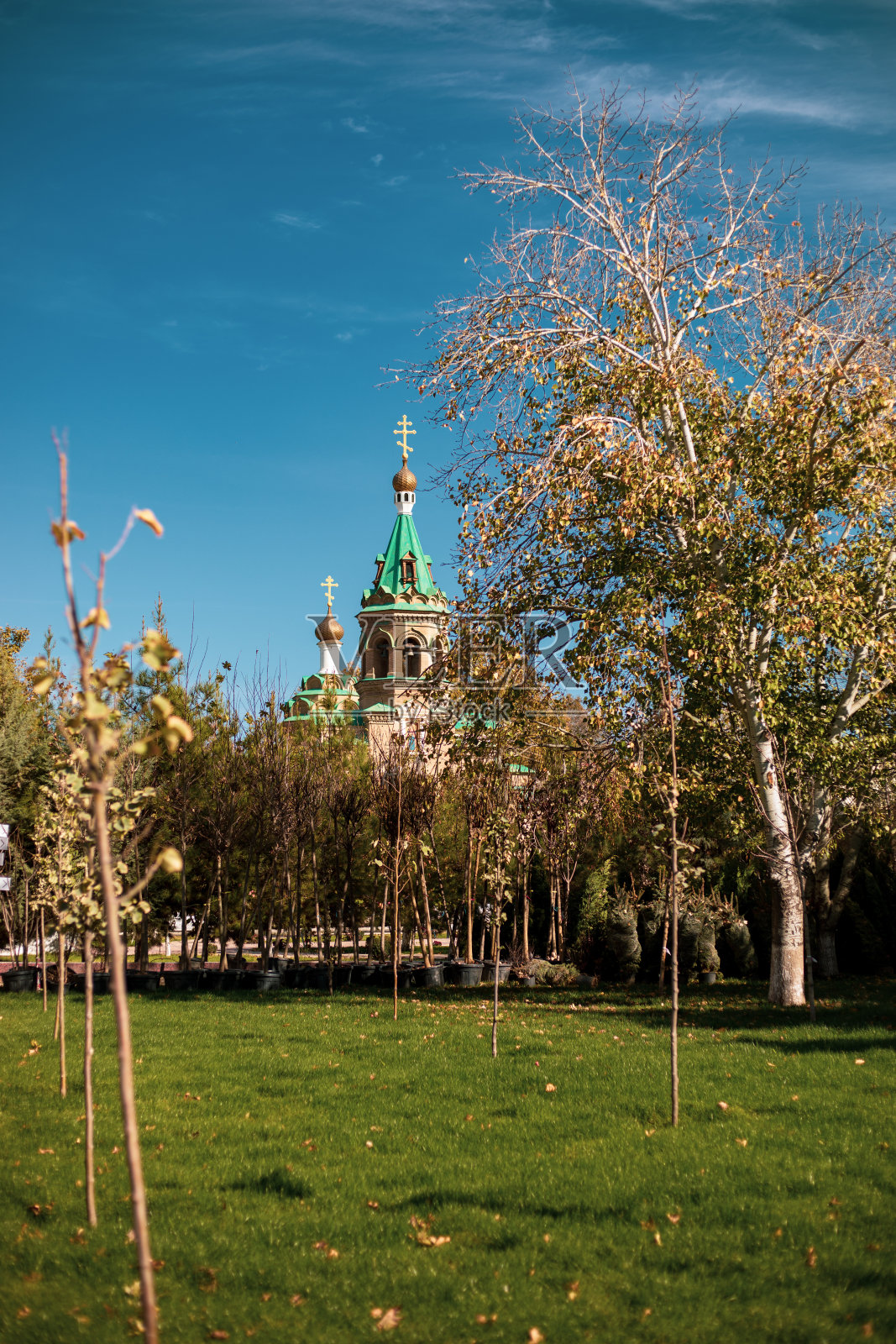 撒马尔罕照片摄影图片