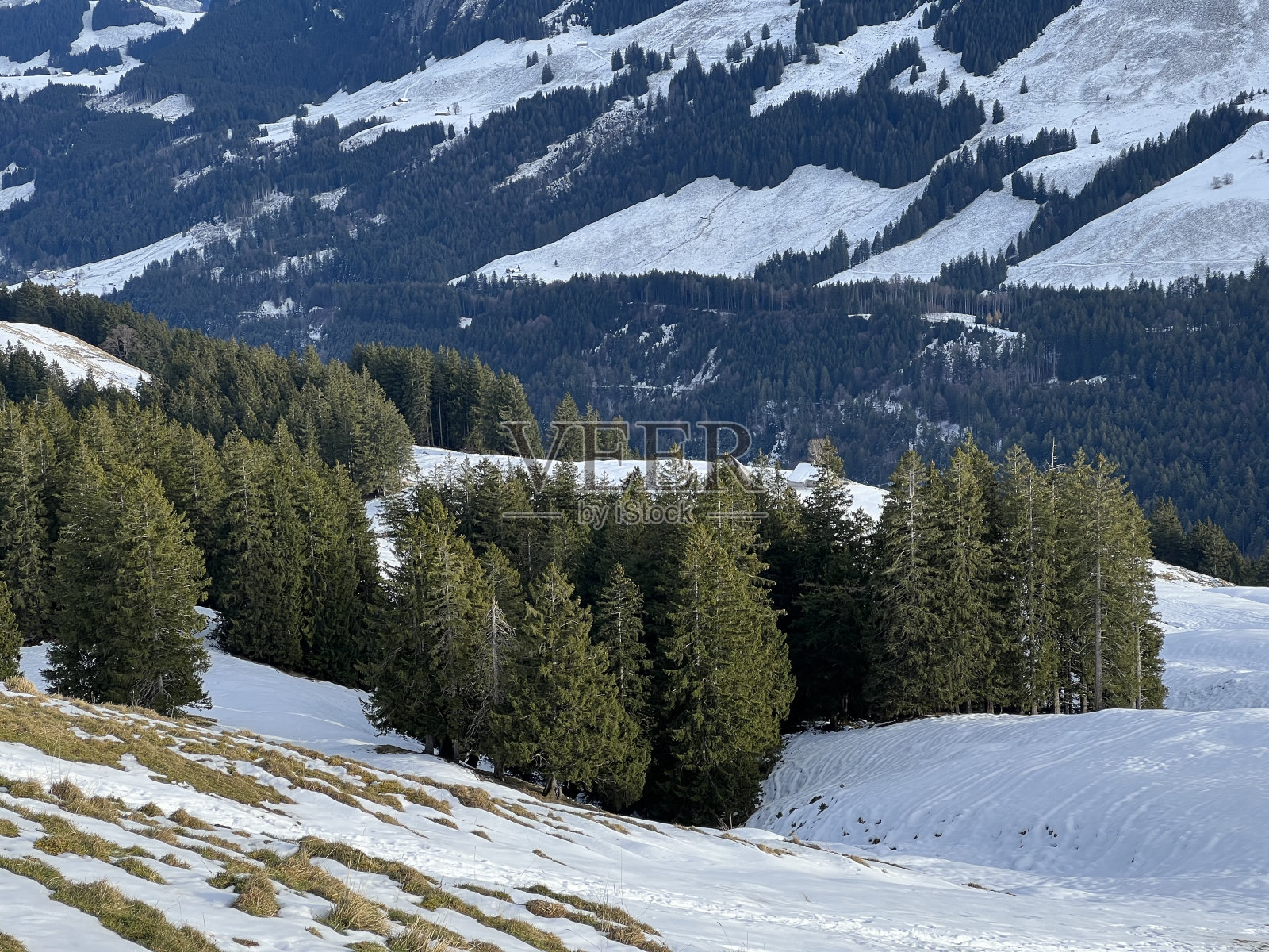 深秋的气氛，第一场雪落在阿尔卑斯山区的混合树上，Urnäsch (Urnaesch或Urnasch) -阿彭策尔内罗登州，瑞士(瑞士)照片摄影图片