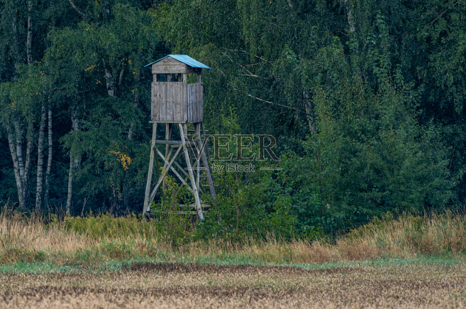 一个木制的狩猎讲坛在田野里的风景，背景是树和草照片摄影图片