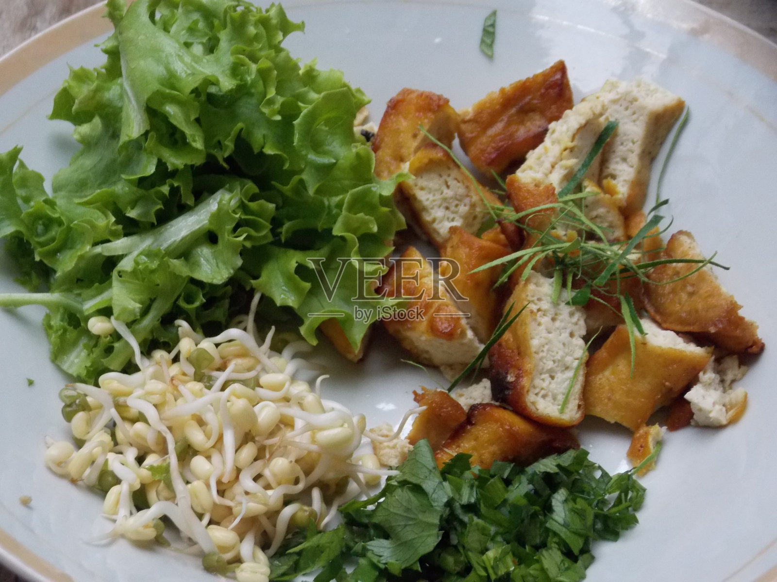 爪哇版沙拉——“塔胡古灵”菜照片摄影图片