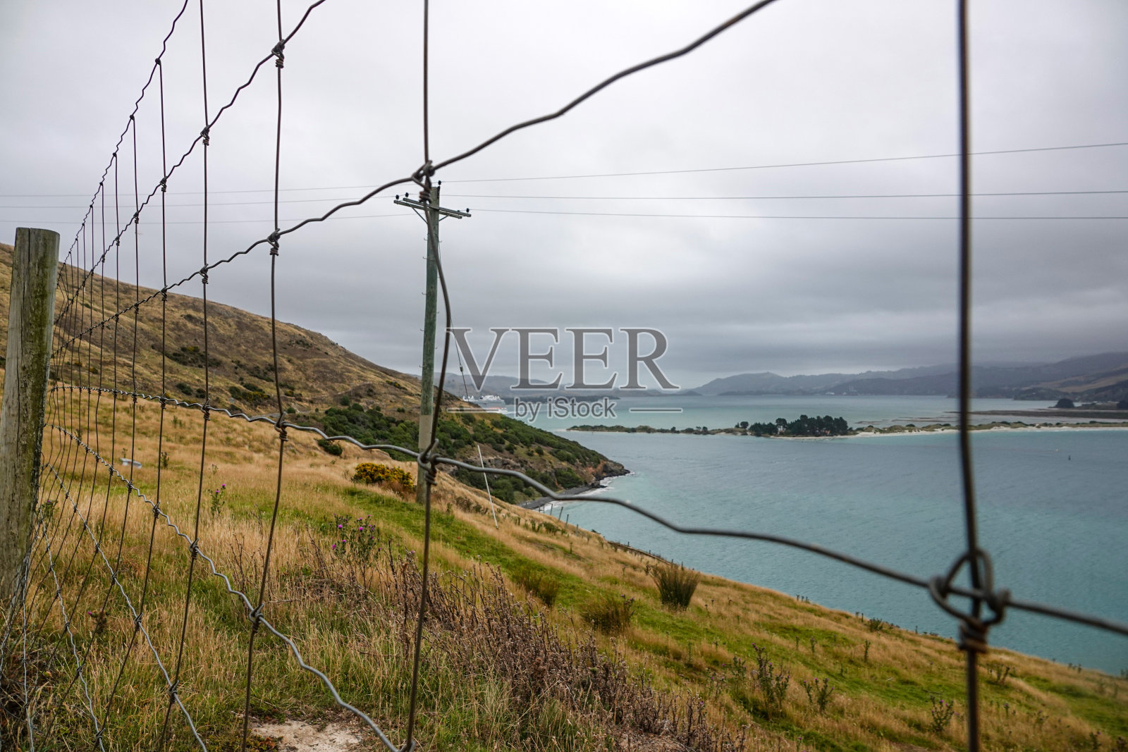 奥塔哥港口照片摄影图片