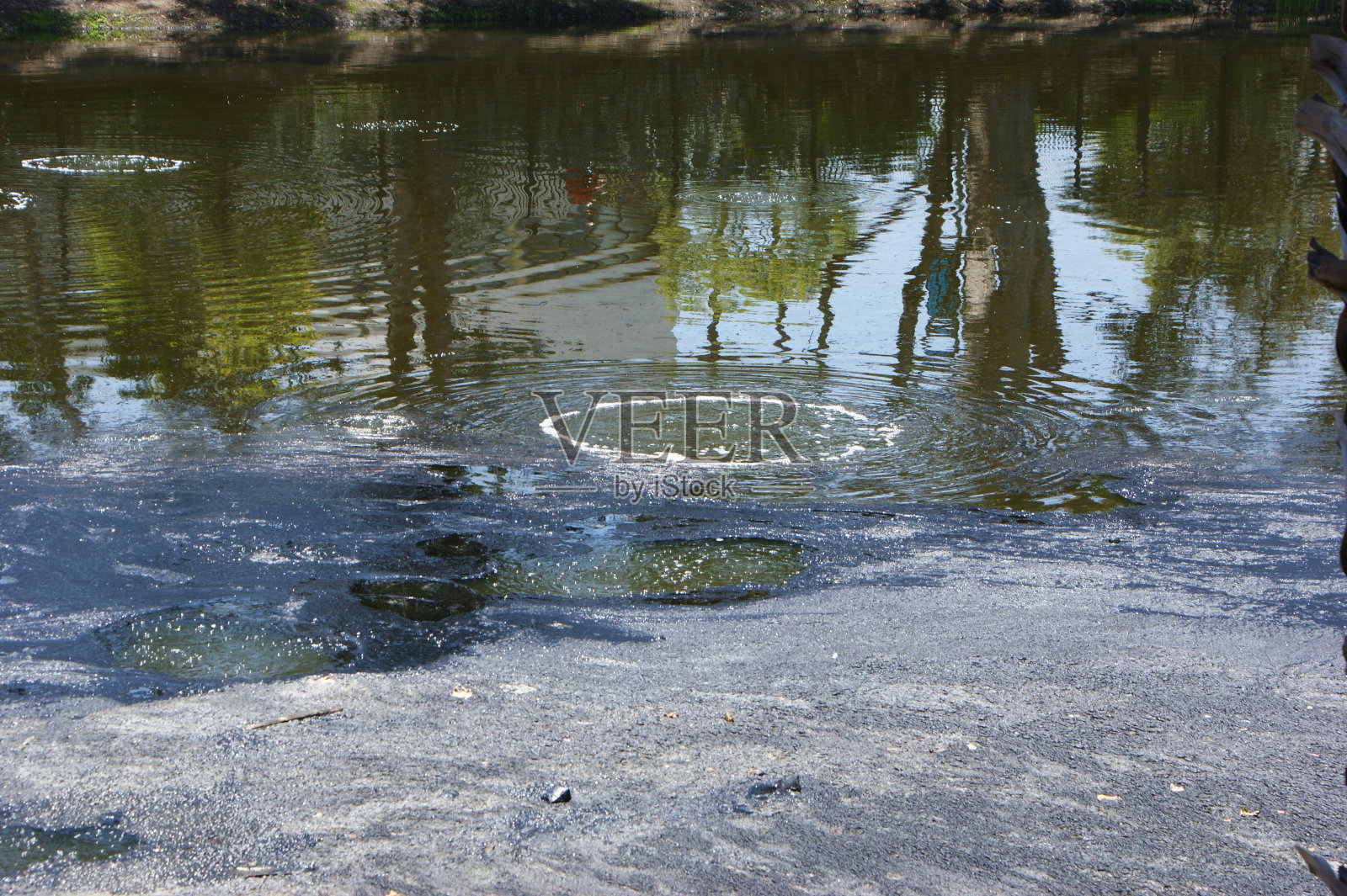 水自然景观植物湖水道岸照片摄影图片