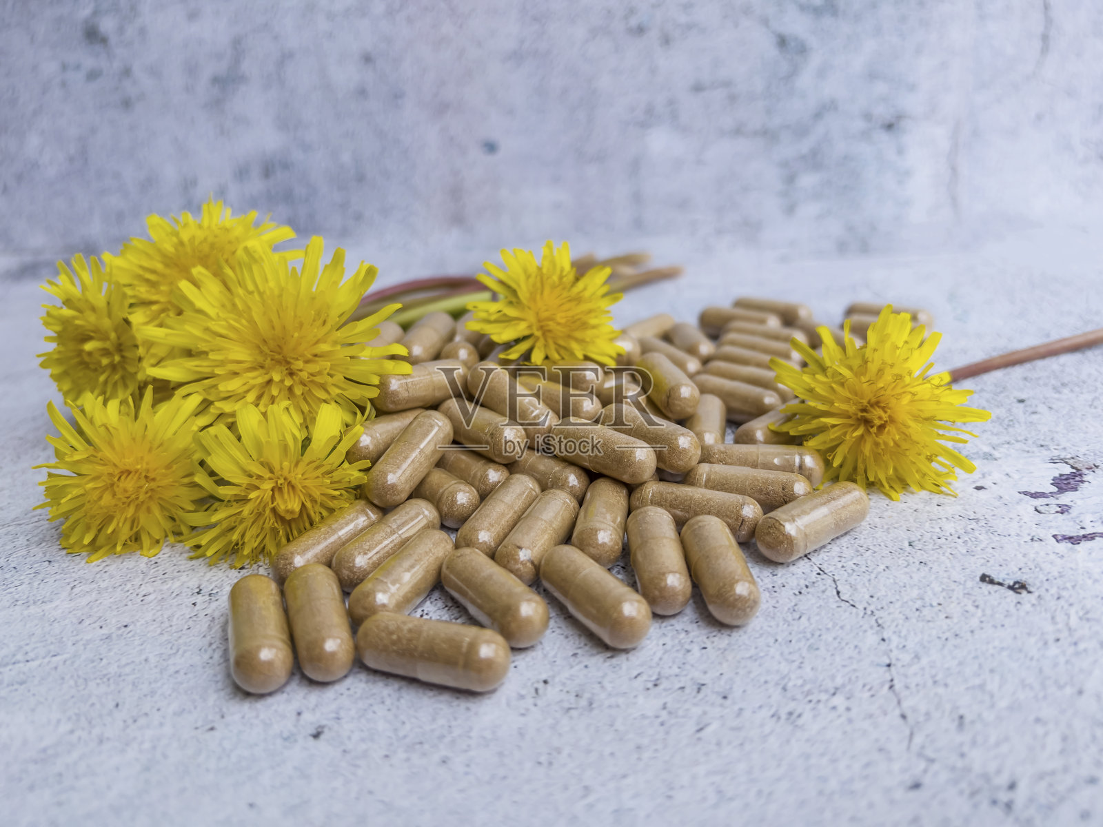 蒲公英植物胶囊照片摄影图片