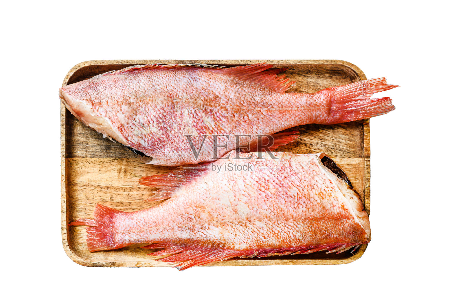 生的红鲈鱼。孤立在白色背景上。前视图。照片摄影图片