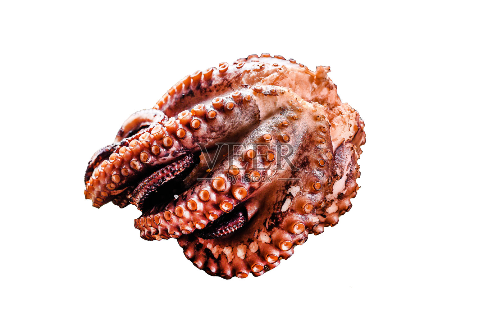 烤整个章鱼孤立在白色背景。前视图。照片摄影图片