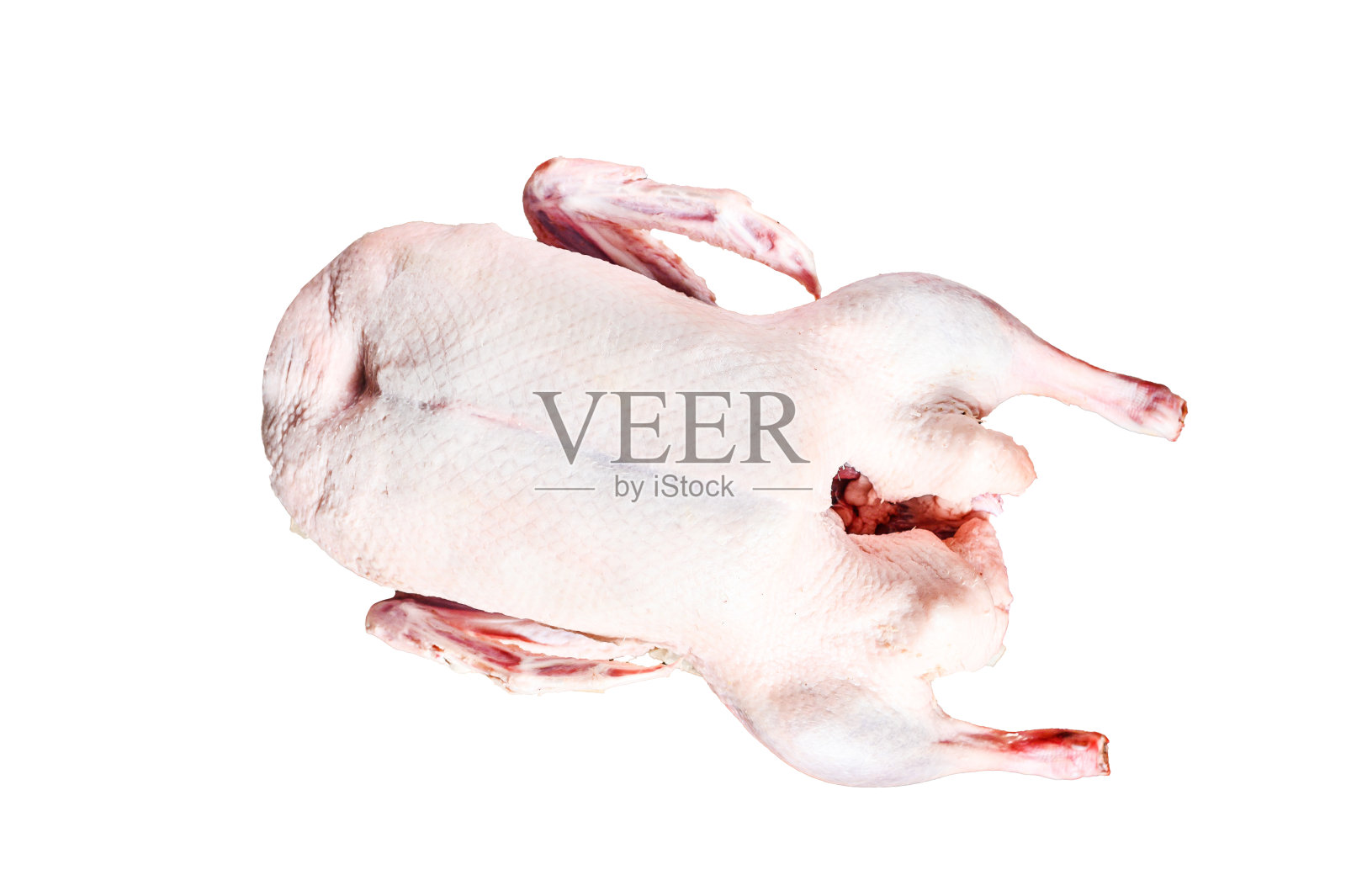 整只生鸭。烹饪秘方孤立的白色背景。前视图。照片摄影图片