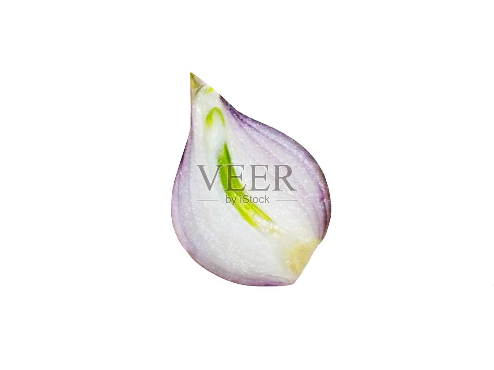 将淡紫色洋葱切成白色背景照片摄影图片