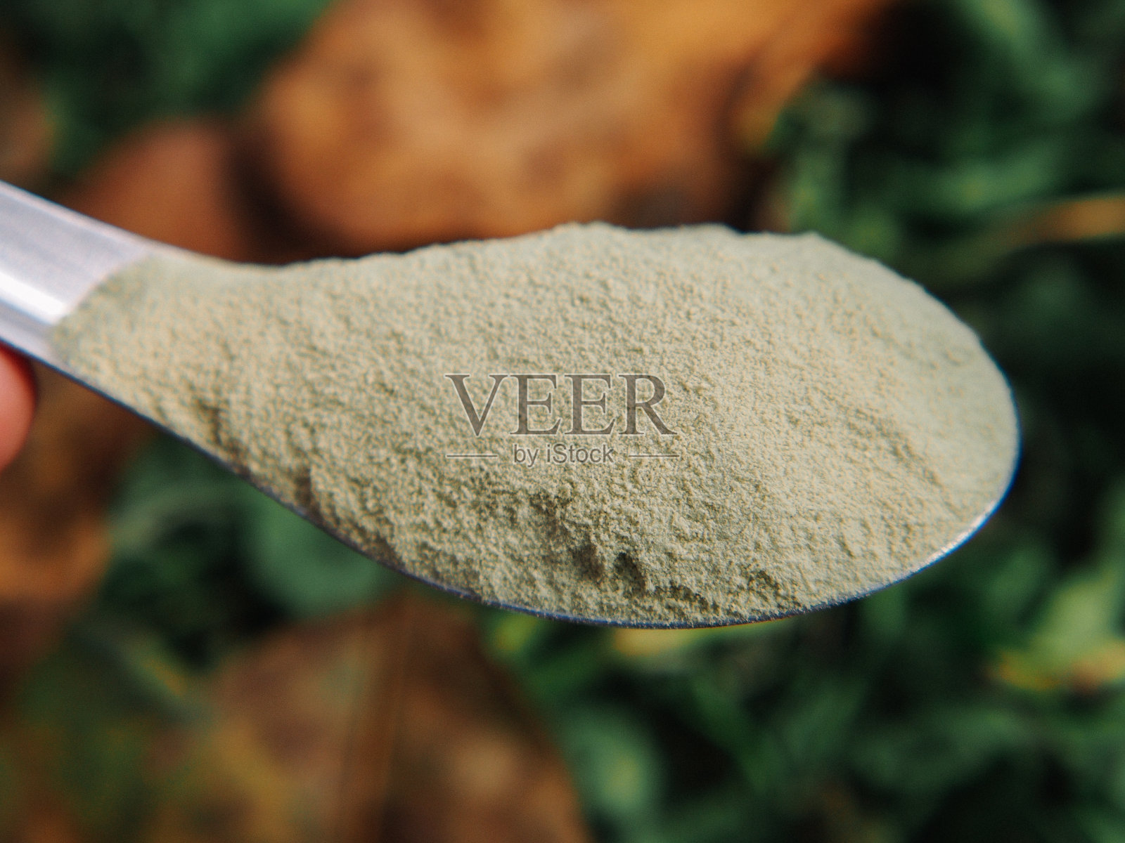 牛奶绿茶粉照片摄影图片