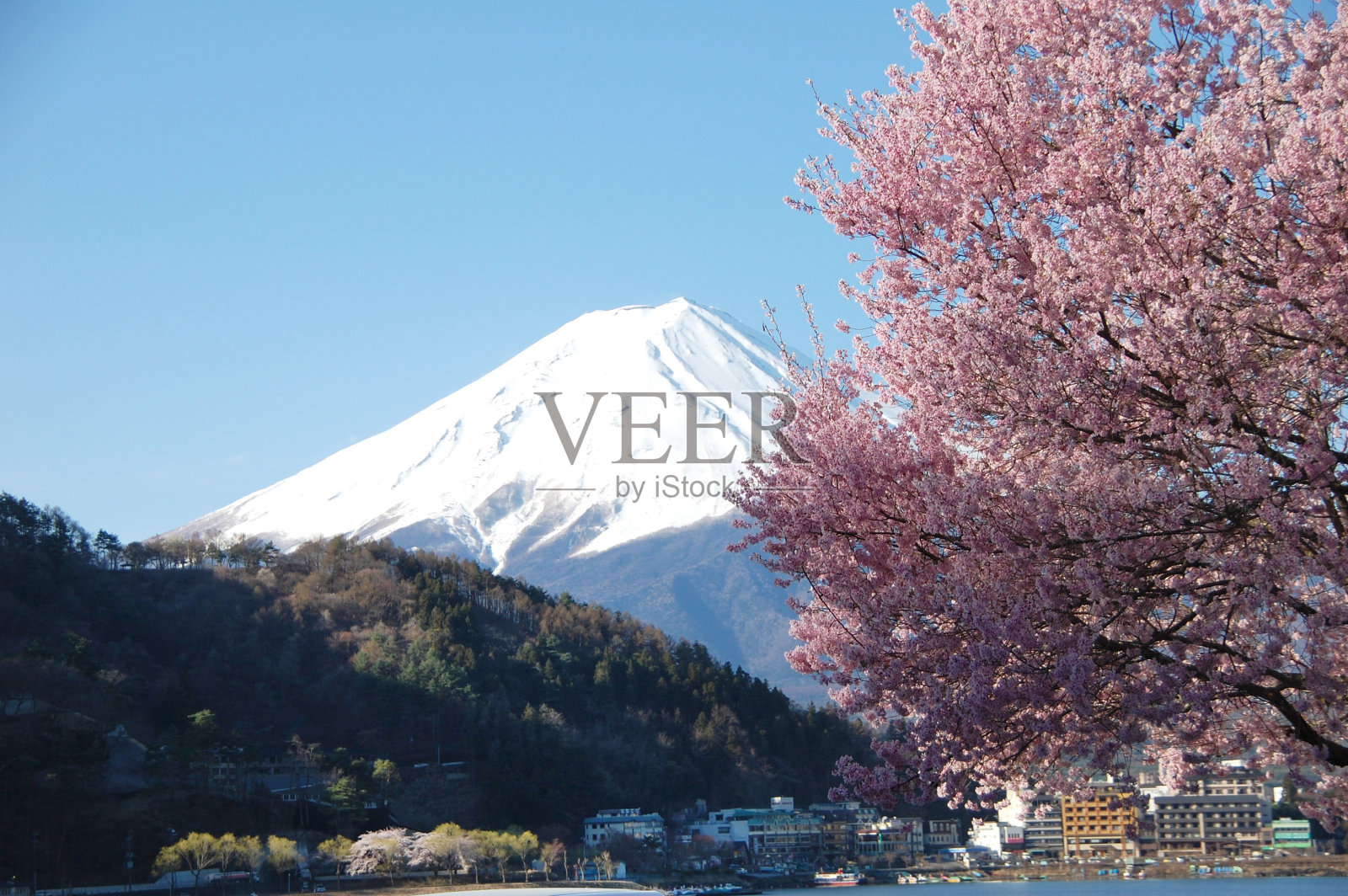 山梨樱花和富士山照片摄影图片