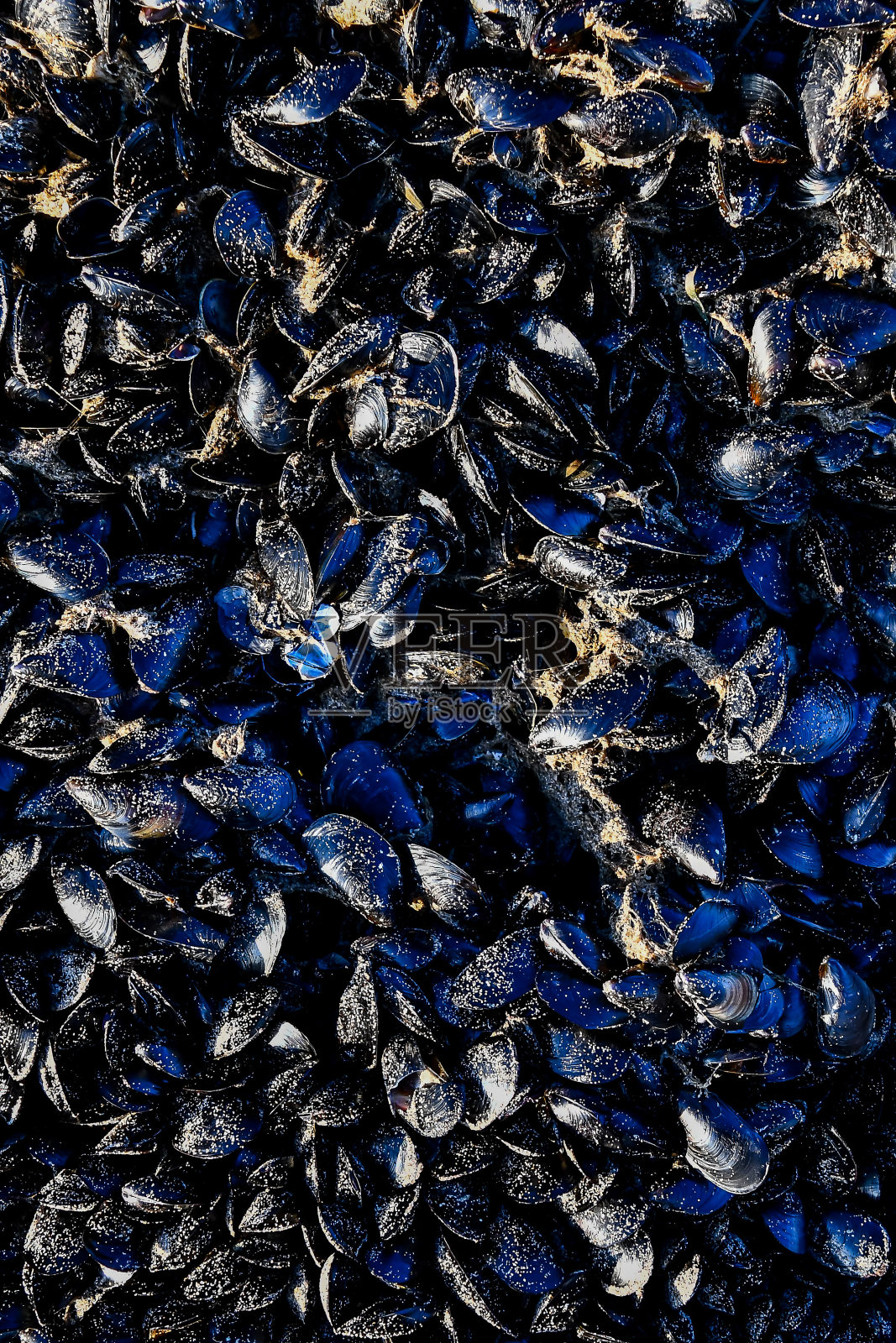 特写螺丝，数码照片图片作为背景照片摄影图片