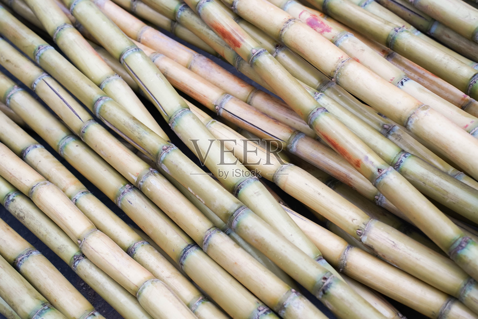 食品行业。甘蔗田用于榨汁的甘蔗茎照片摄影图片