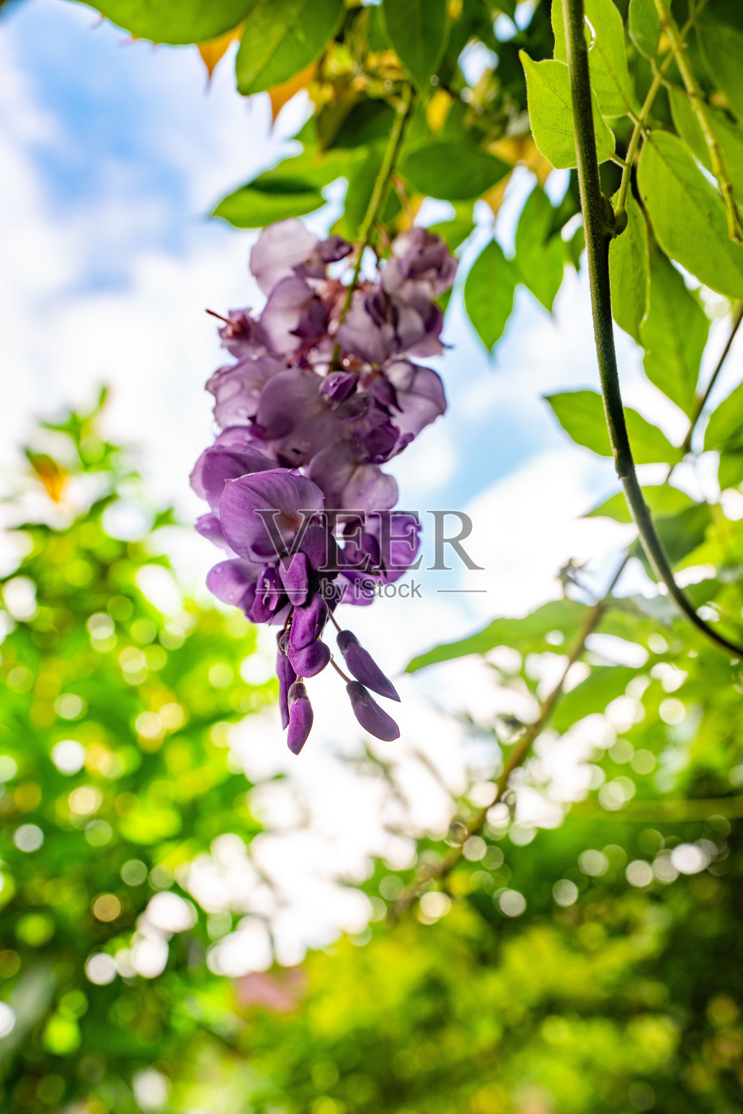 我有各种风景和历史遗迹的照片。照片摄影图片