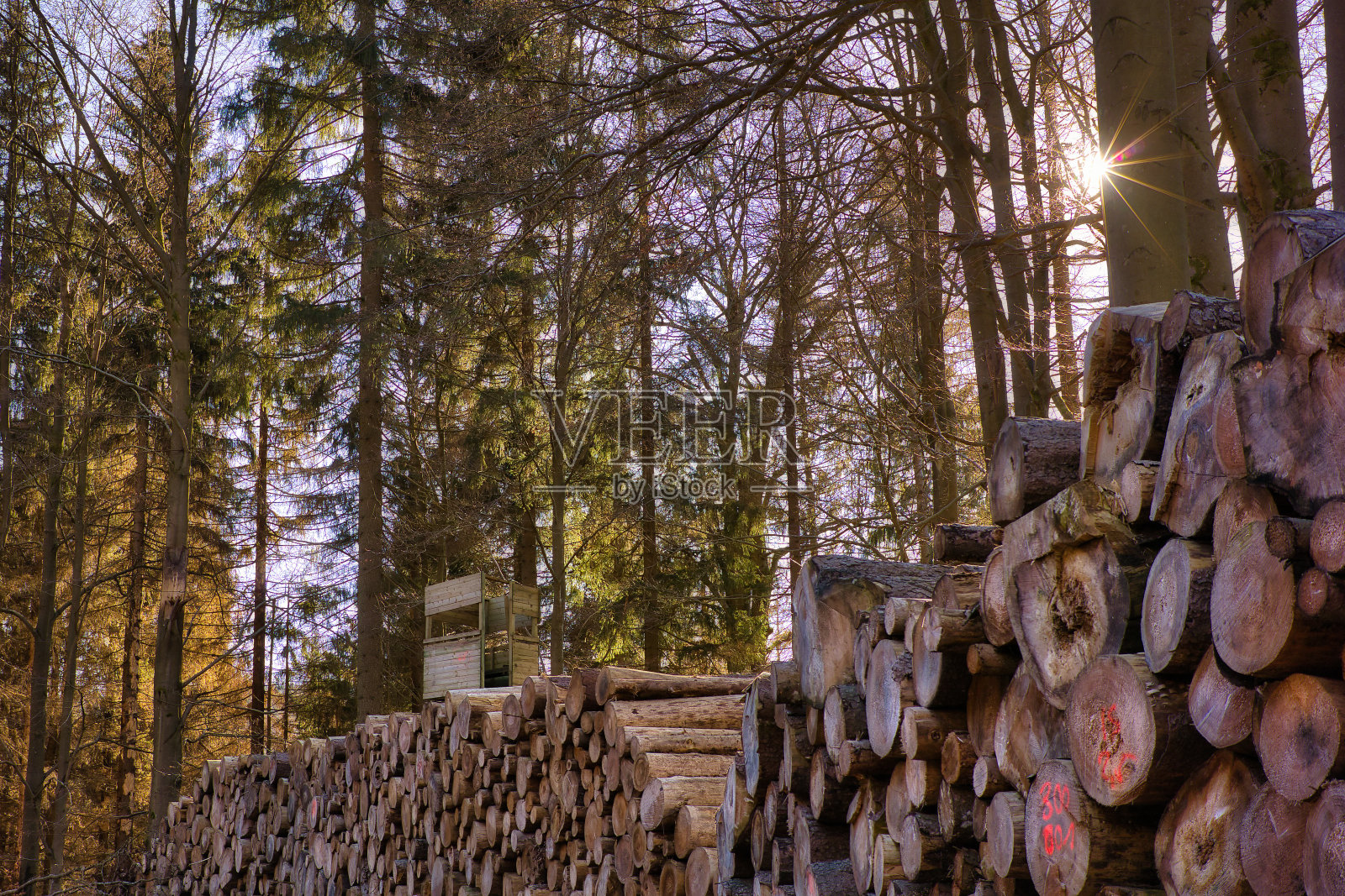 图林根最美丽的风景照片摄影图片