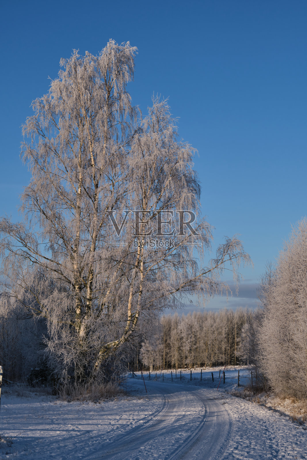 瑞典斯卡拉堡美丽多彩的秋景照片摄影图片