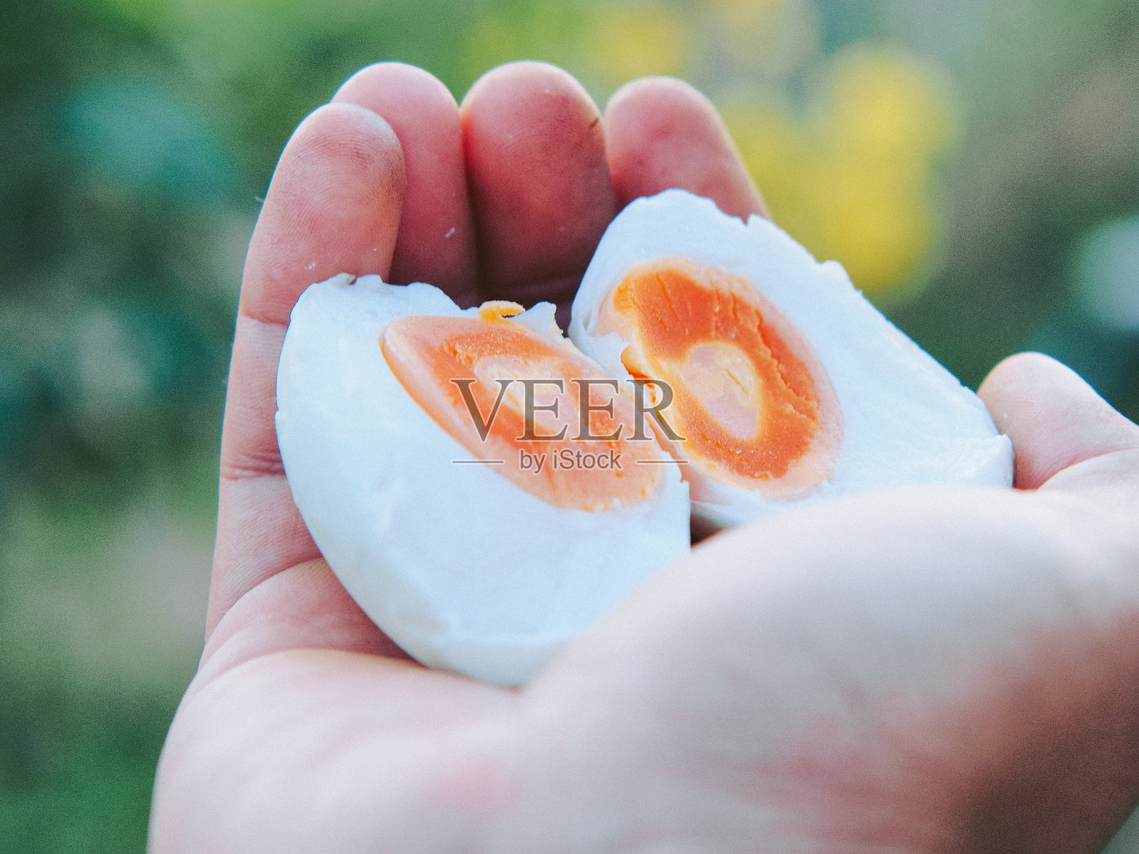 近距离煮蛋照片摄影图片