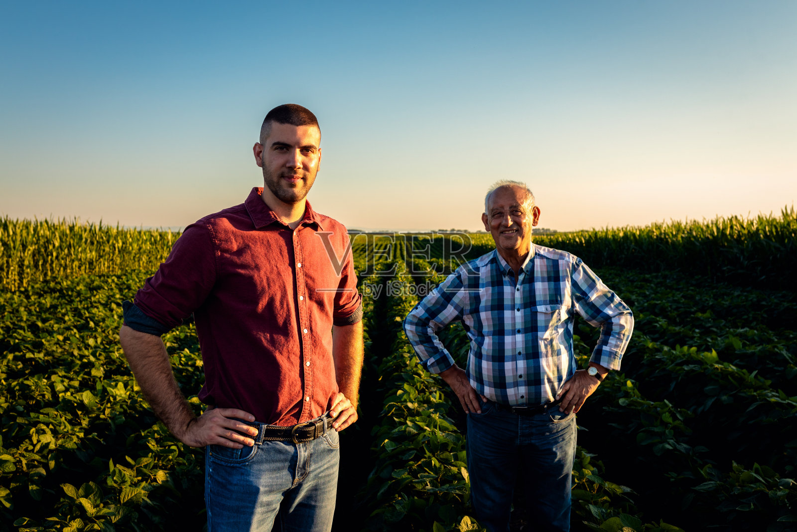 两个农民站在大豆田里看着相机的肖像。照片摄影图片