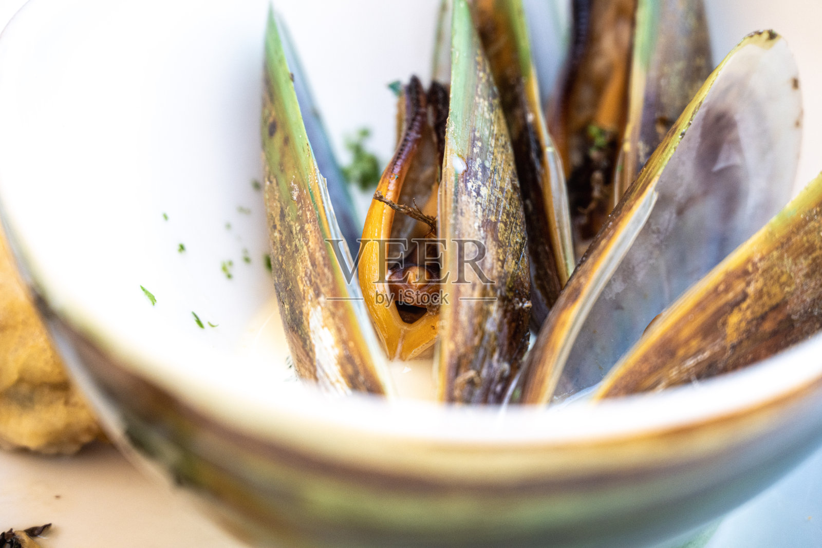 来自新西兰哈夫洛克的新鲜牡蛎照片摄影图片