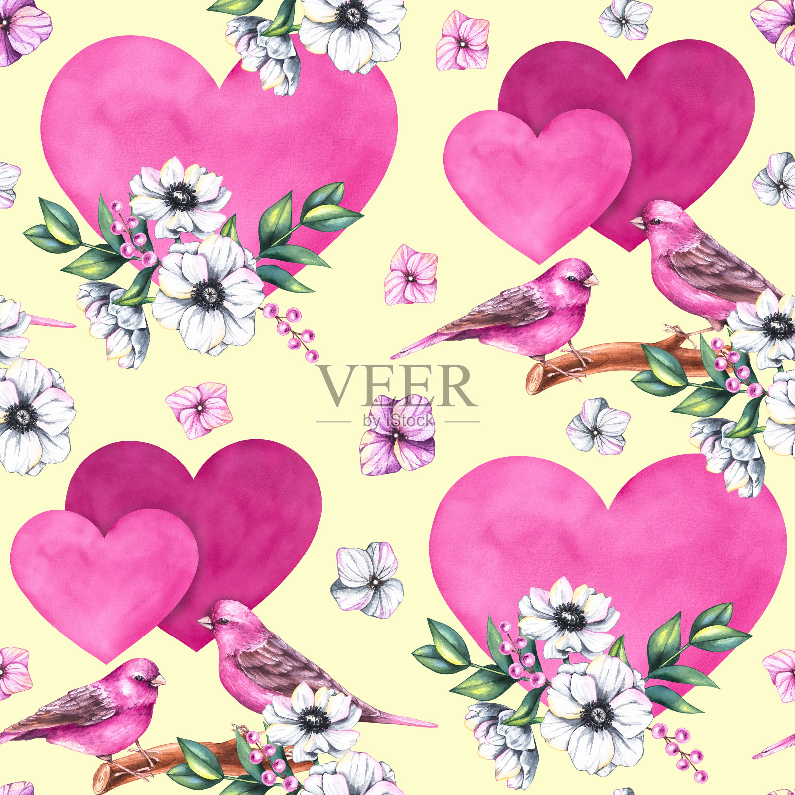 水彩画情人节图案用鸟、花和爱心隔离在白色上插画图片素材