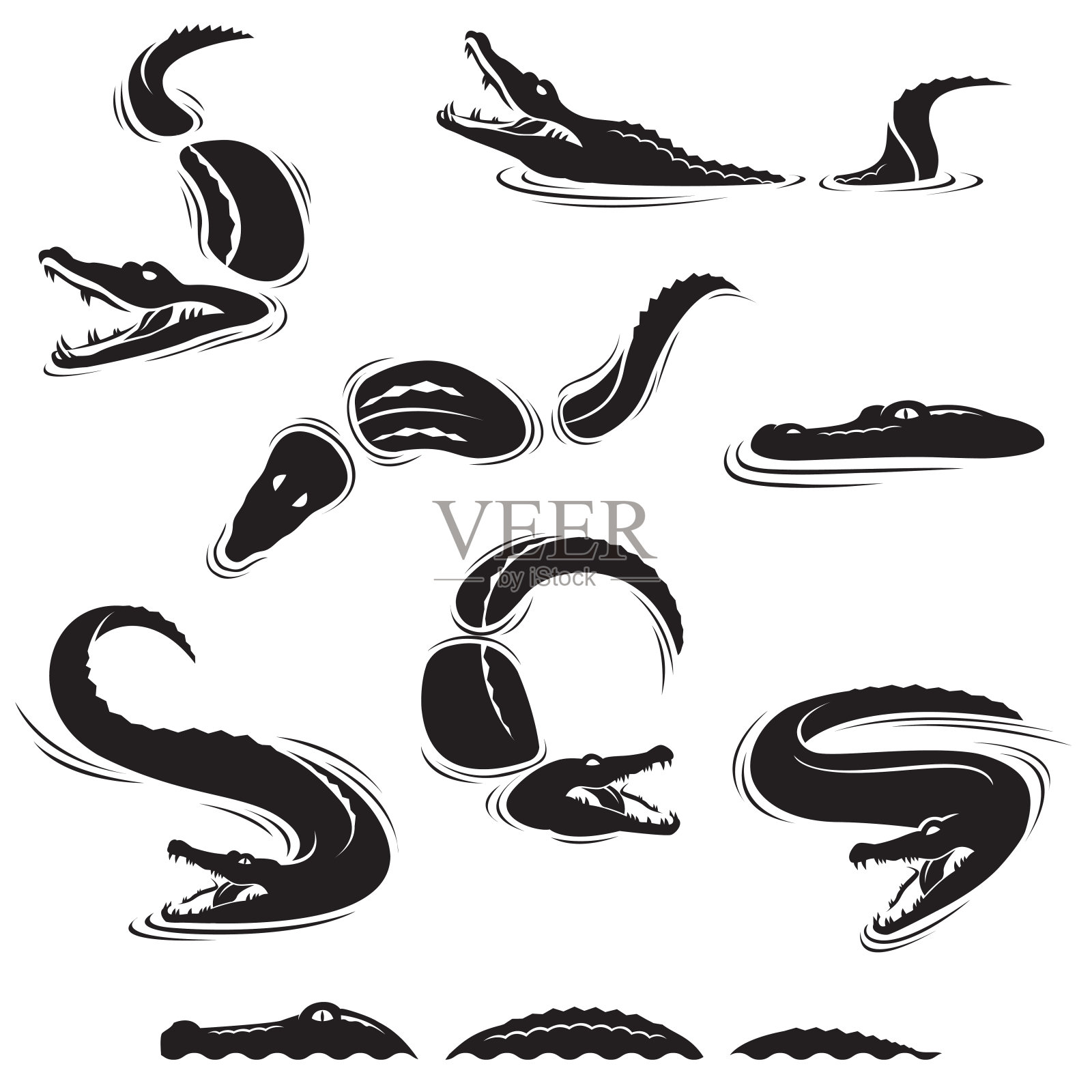 鳄鱼图标套装插画图片素材