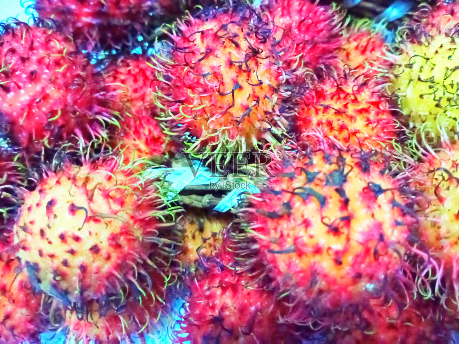 白色背景上的红毛丹果实照片摄影图片