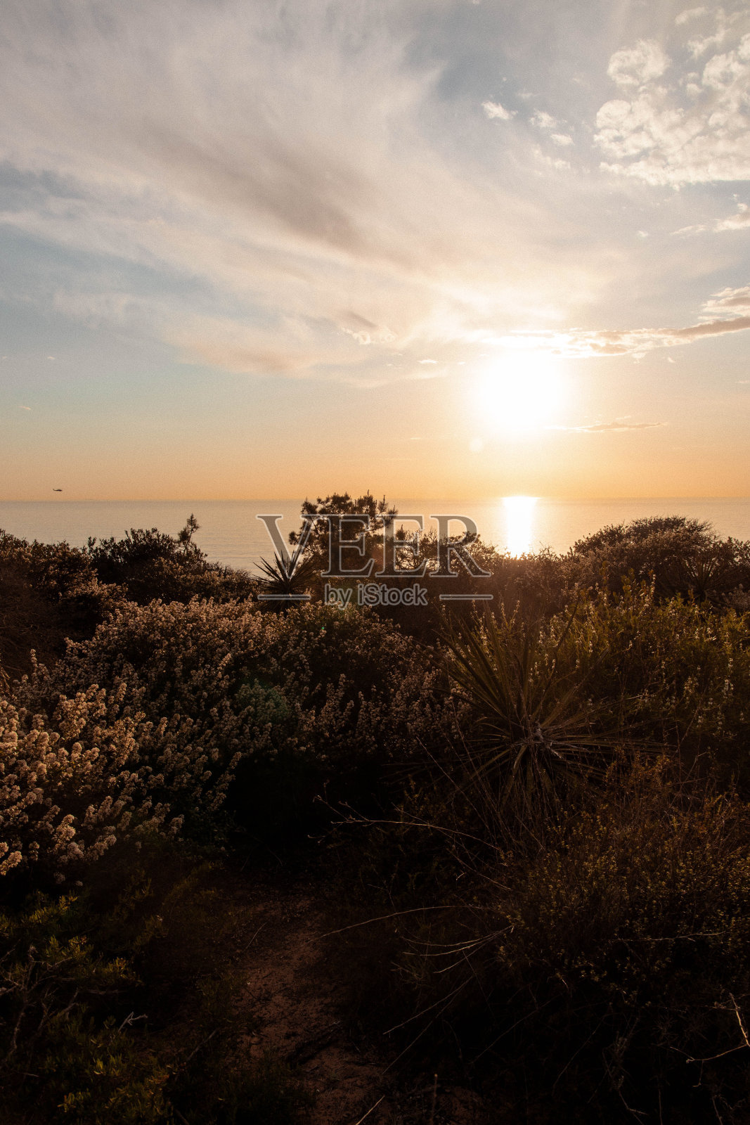 电影氛围照片摄影图片