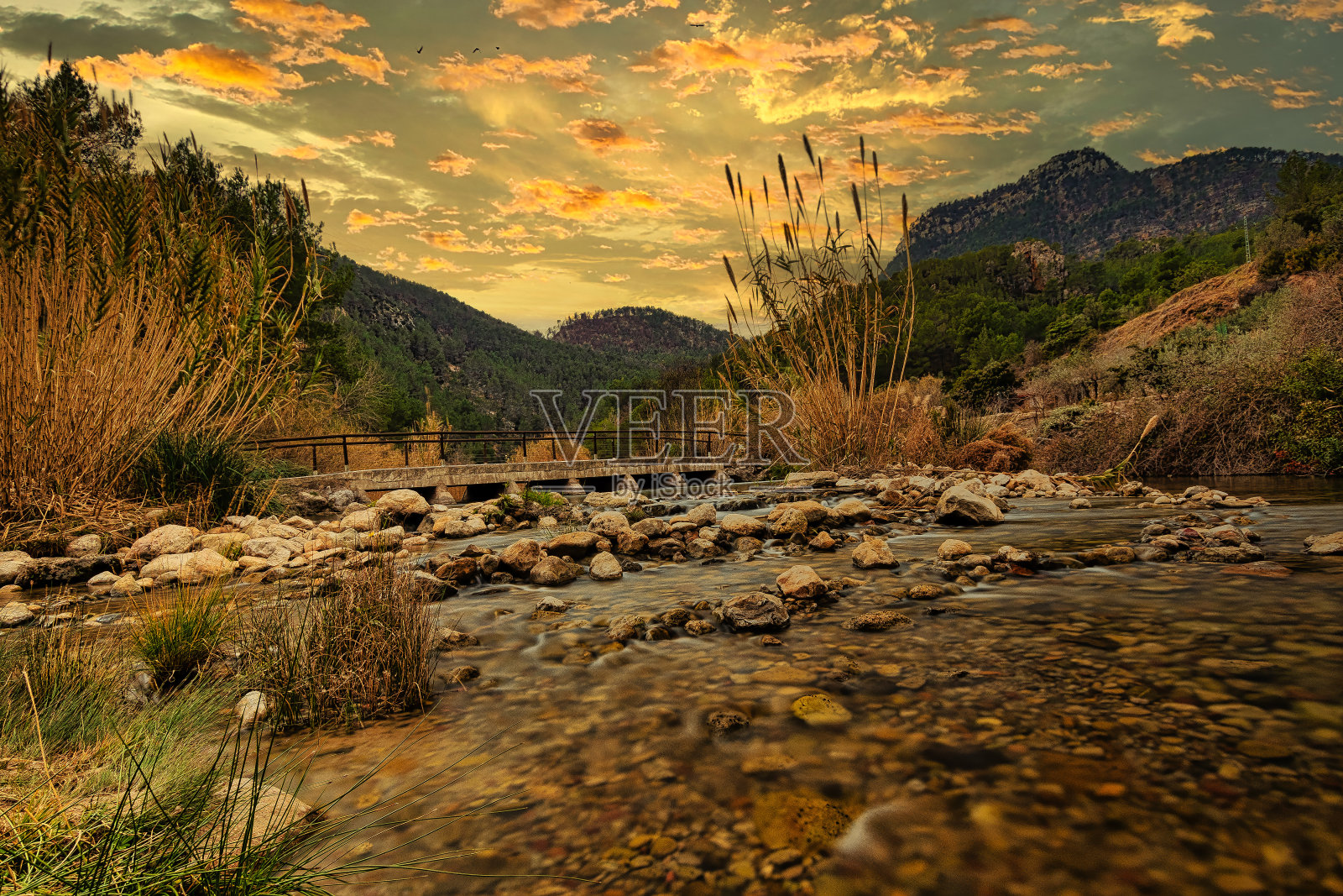 瓦伦西亚山上的一条小河照片摄影图片