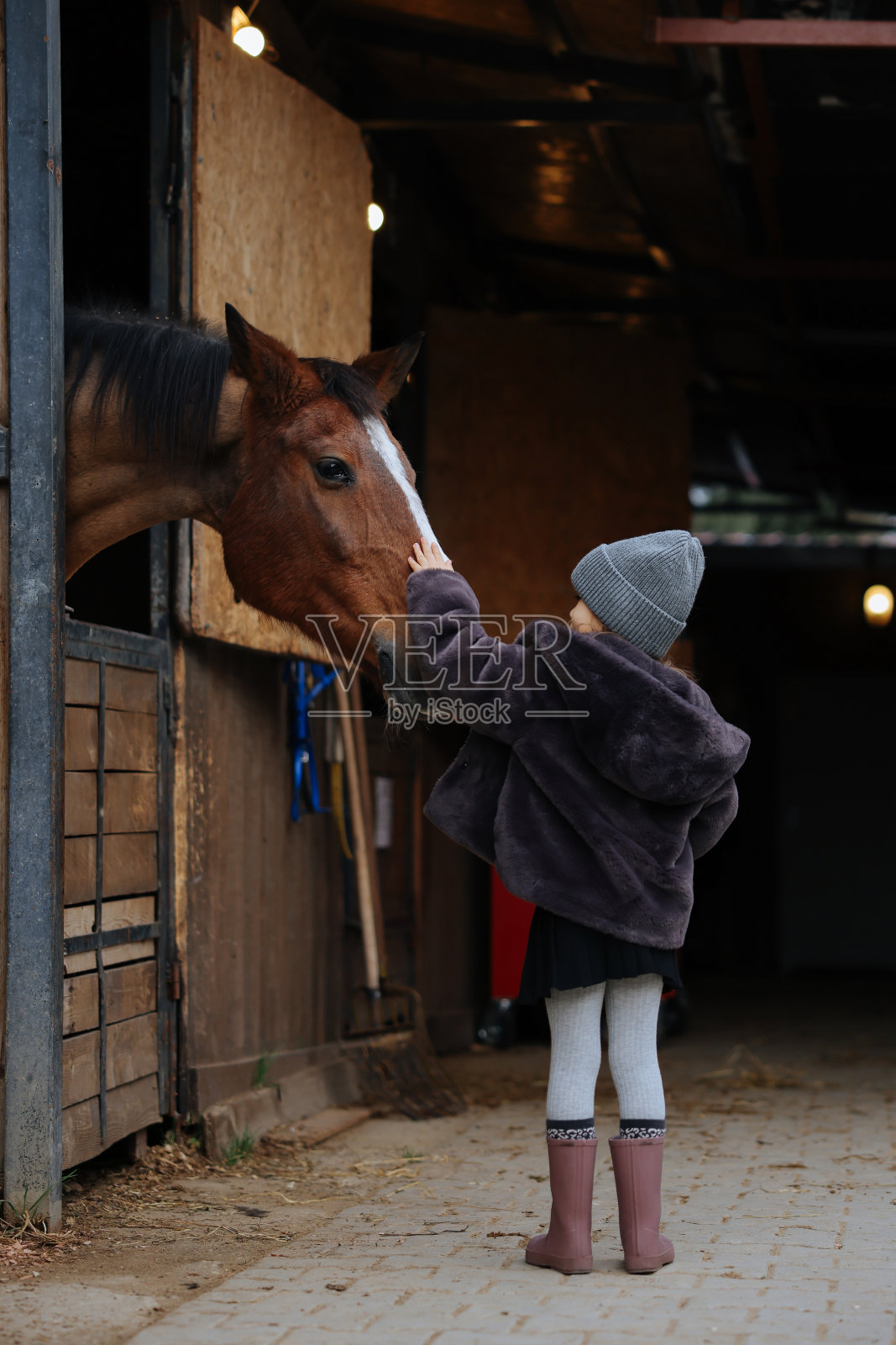 小女孩和马厩里的马的画像照片摄影图片