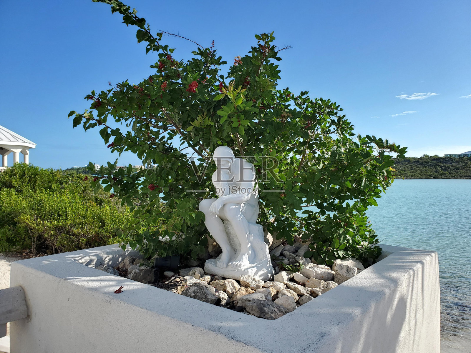 天空水植物云雕塑窗照片摄影图片