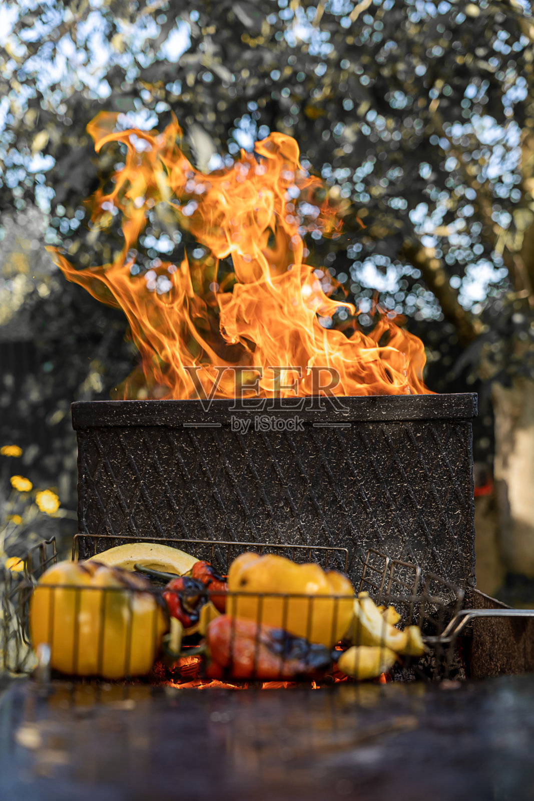 在火的背景上烤蔬菜照片摄影图片