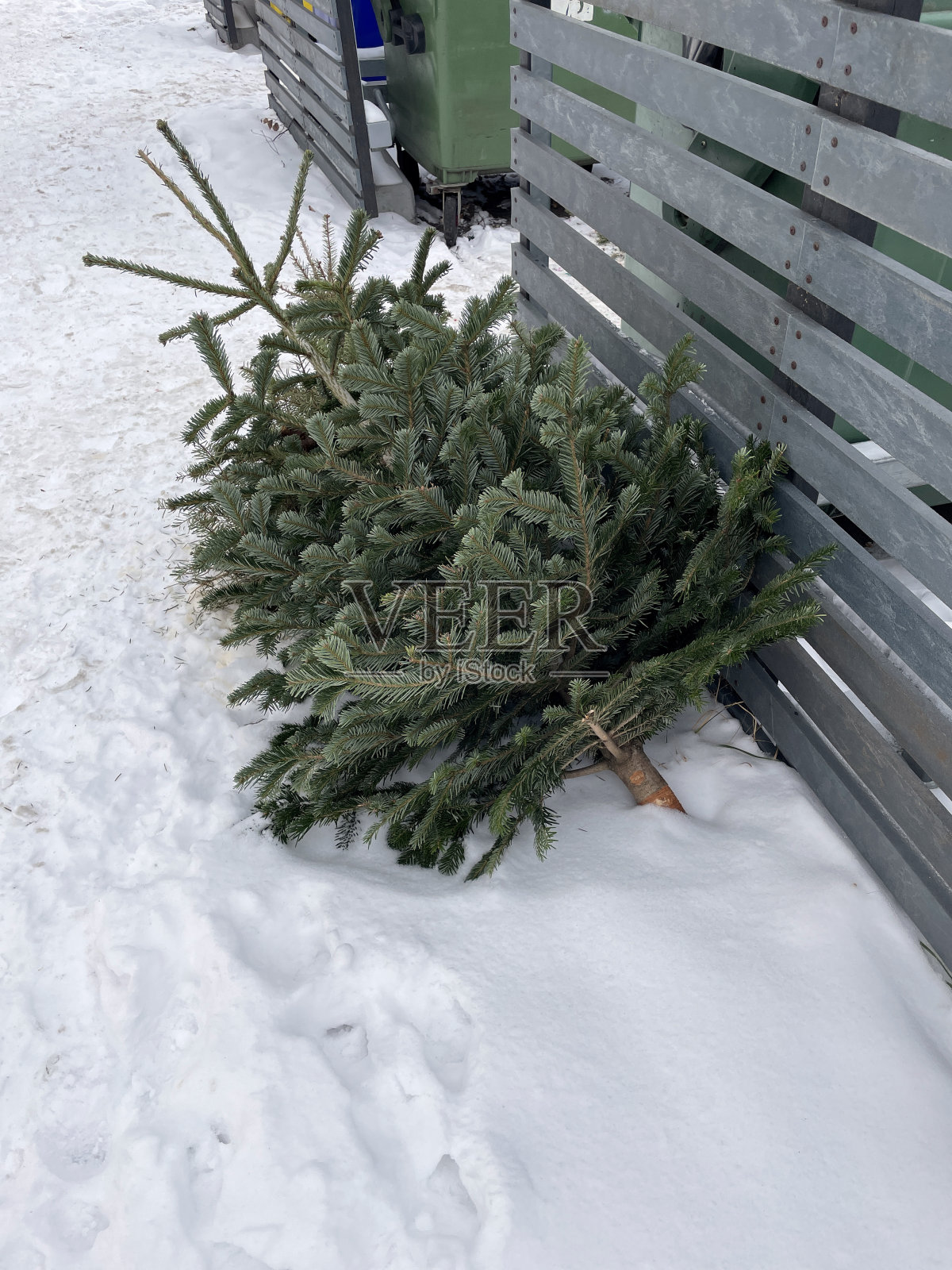 新年假期后丢弃的圣诞树。照片摄影图片