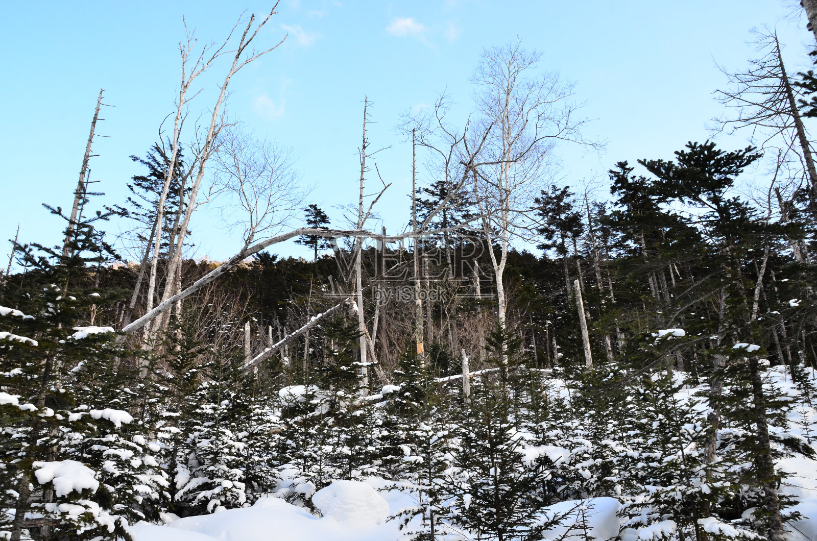 石林别湖位于日本北海道东部的德胜县。它隐藏在海拔810米(2658英尺)的Shikaribetsu火山群中间的大雪山深处。照片摄影图片